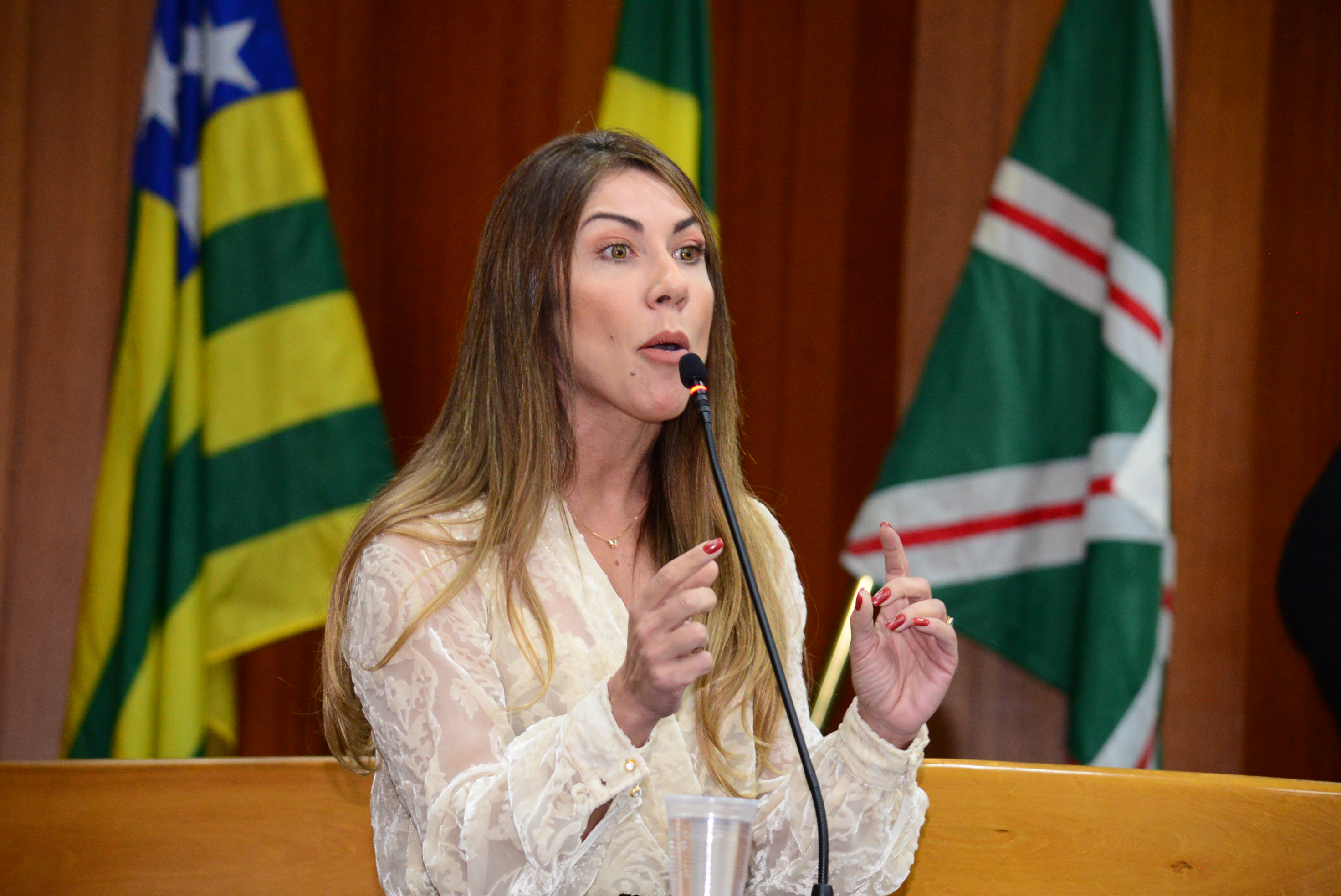 FOTO ANTONIO SILVA (82).JPG