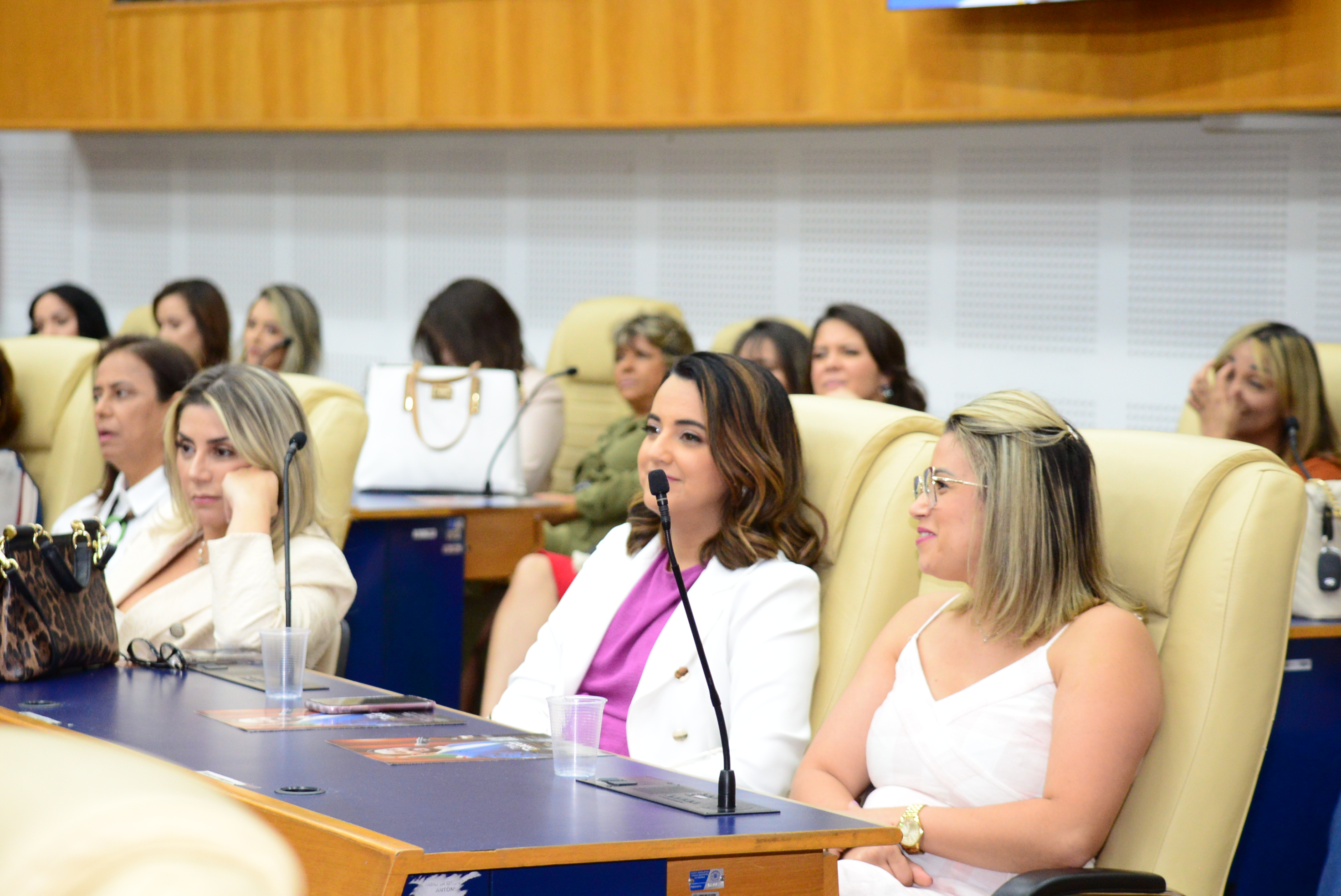 FOTO ANTONIO SILVA (85).JPG