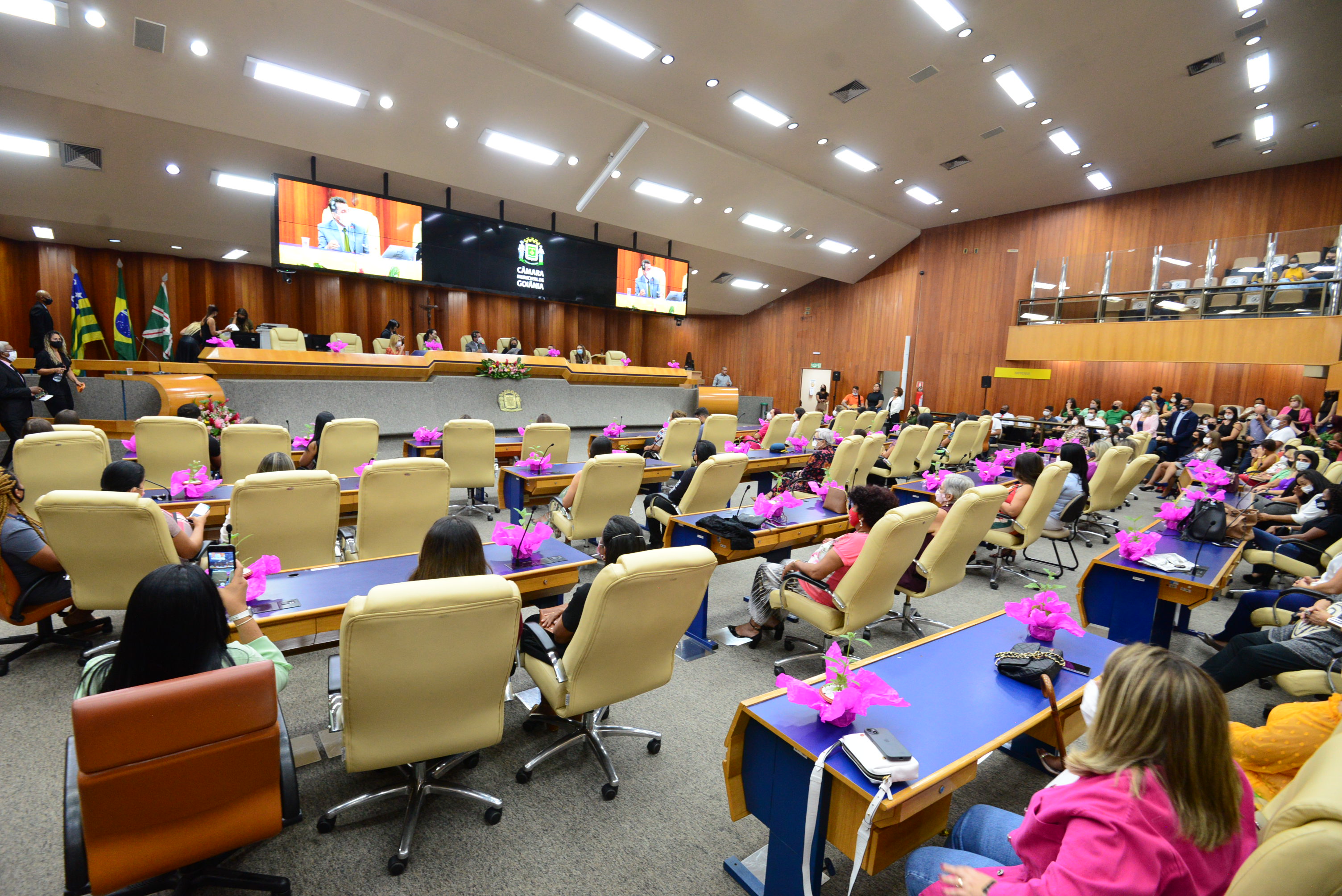 FOTO ANTONIO SILVA (203).JPG