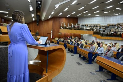 FOTO ANTONIO SILVA (21).JPG