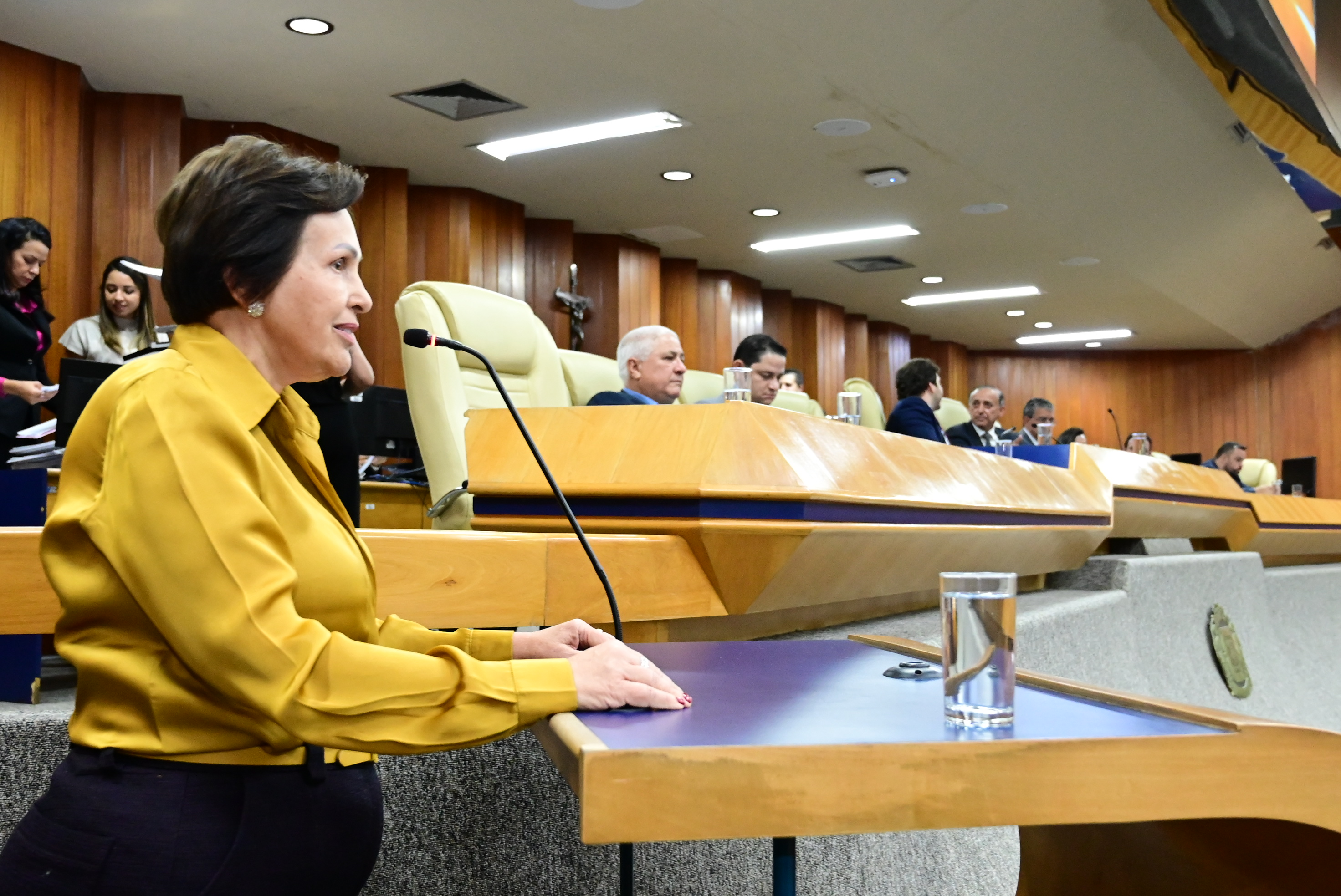 FOTO - ANTONIO SILVA (98).JPG