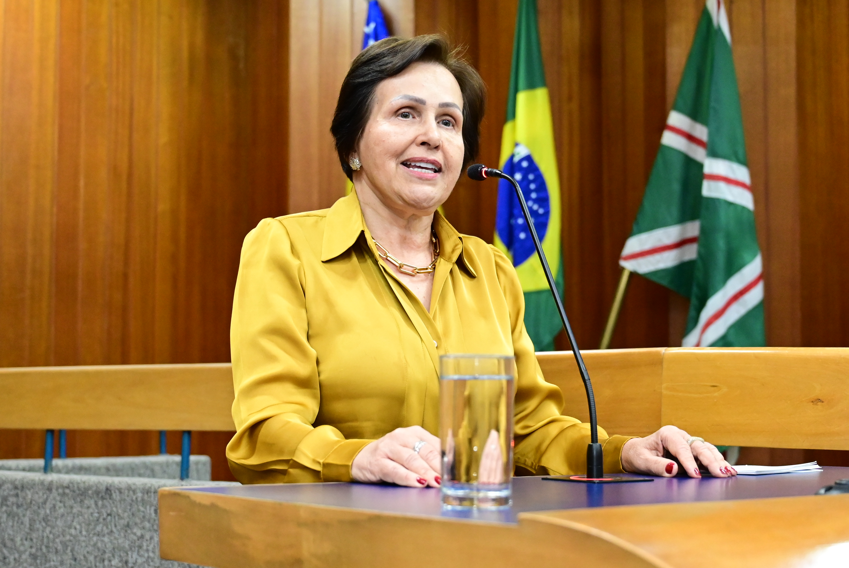 FOTO - ANTONIO SILVA (99).JPG