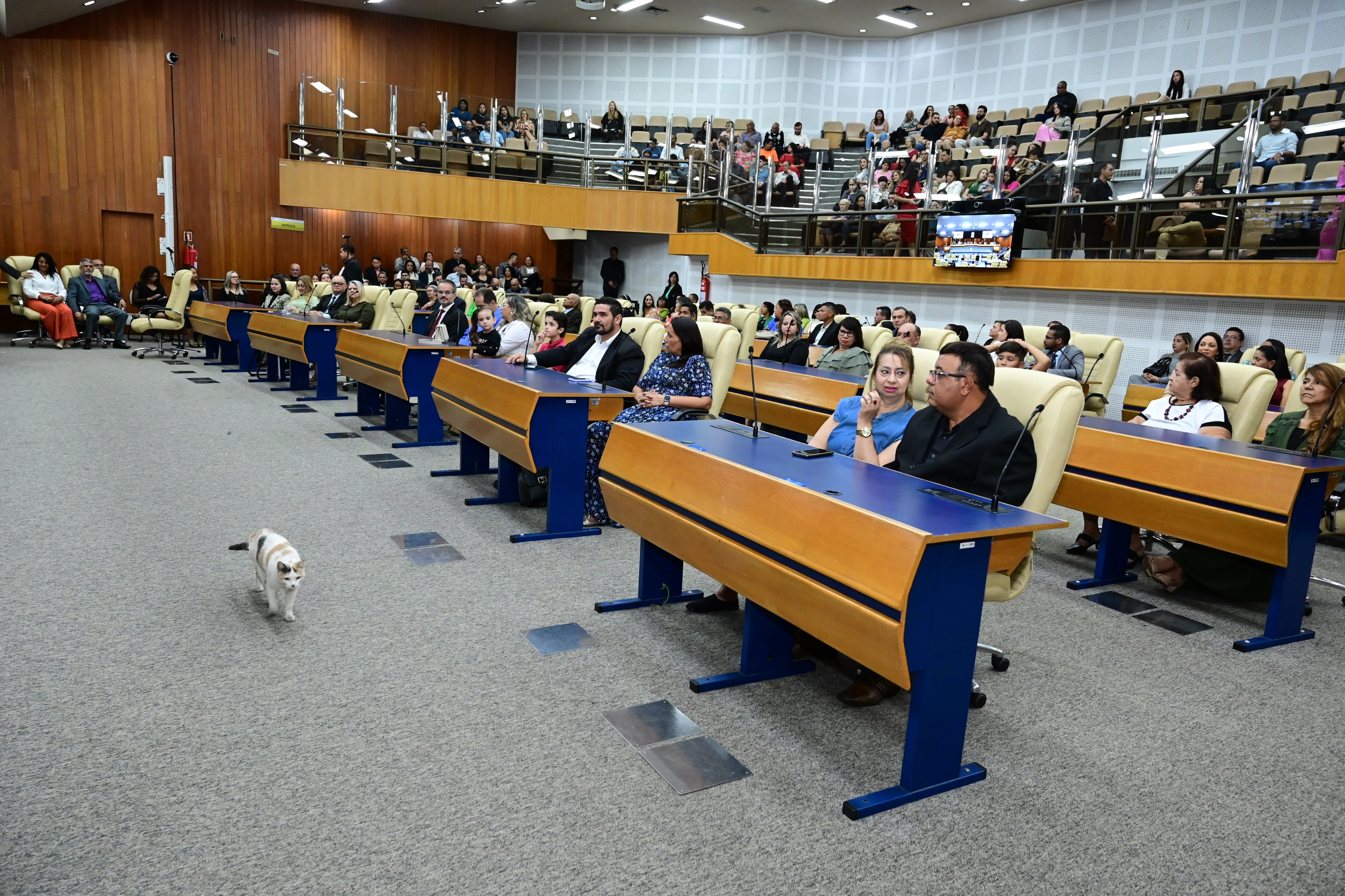 FOTO ANTONIO SILVA (34).JPG