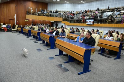 FOTO ANTONIO SILVA (34).JPG