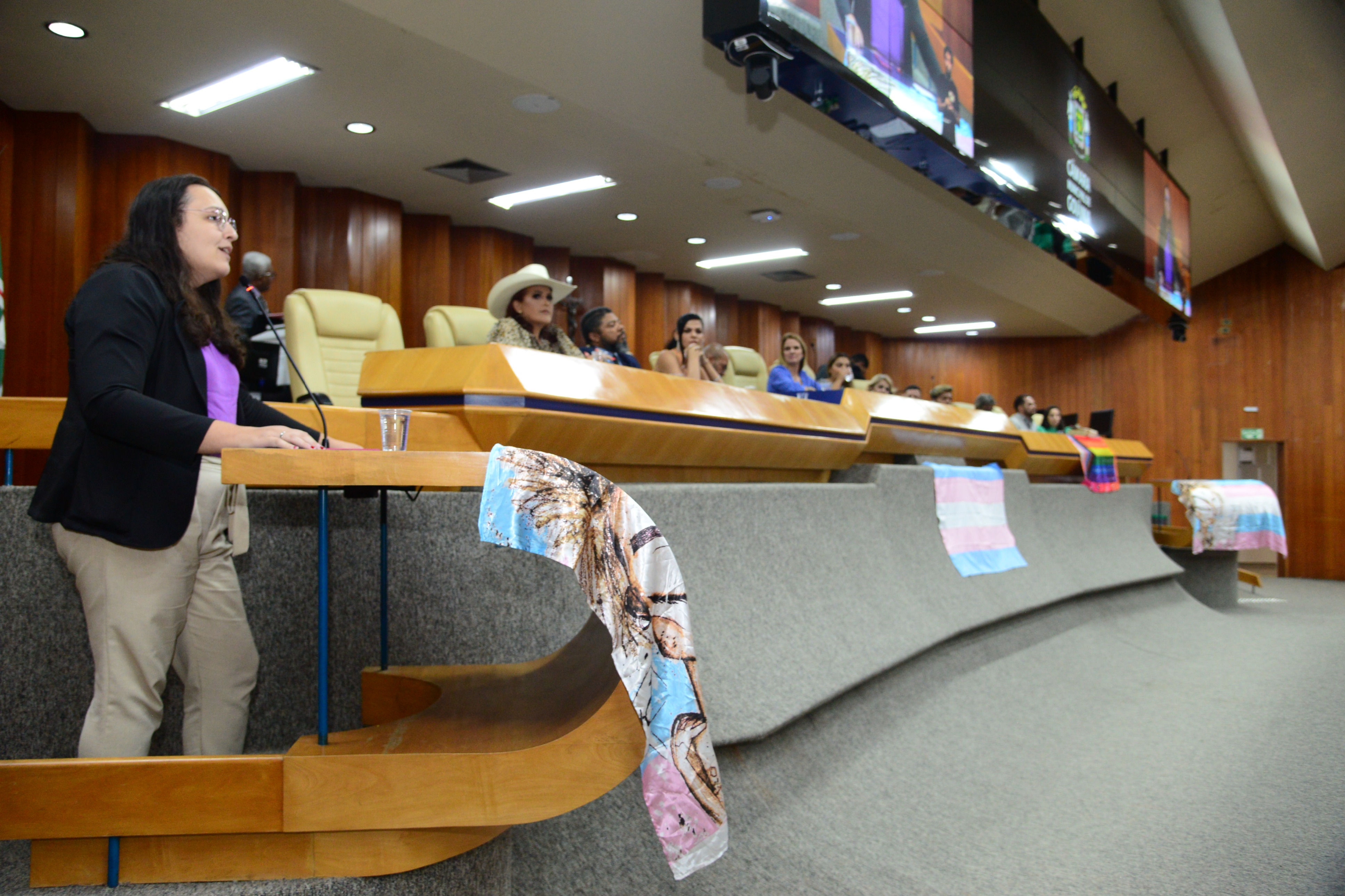 FOTO ANTONIO SILVA (88).JPG