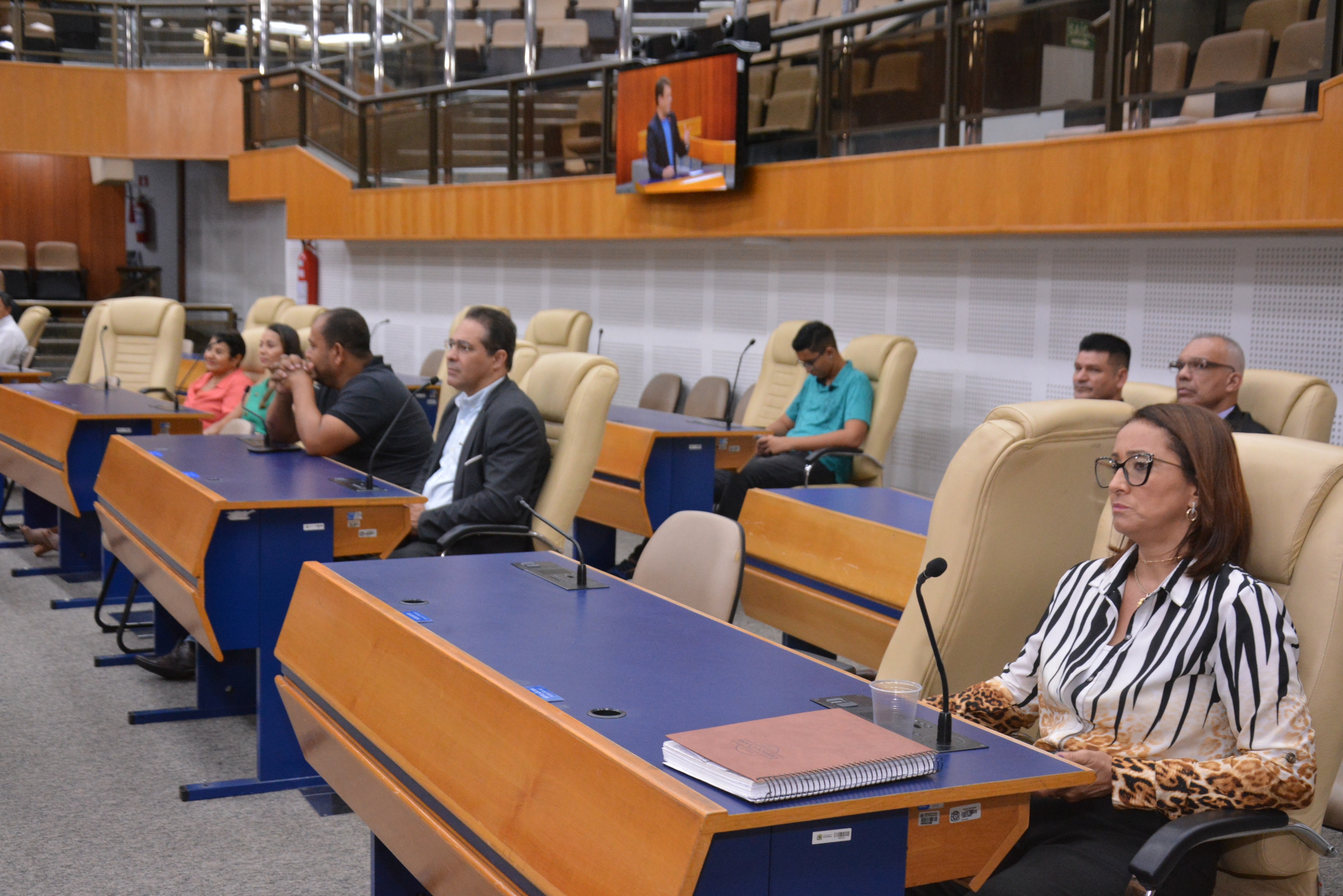 FOTO- ANTONIO SILVA (66).JPG