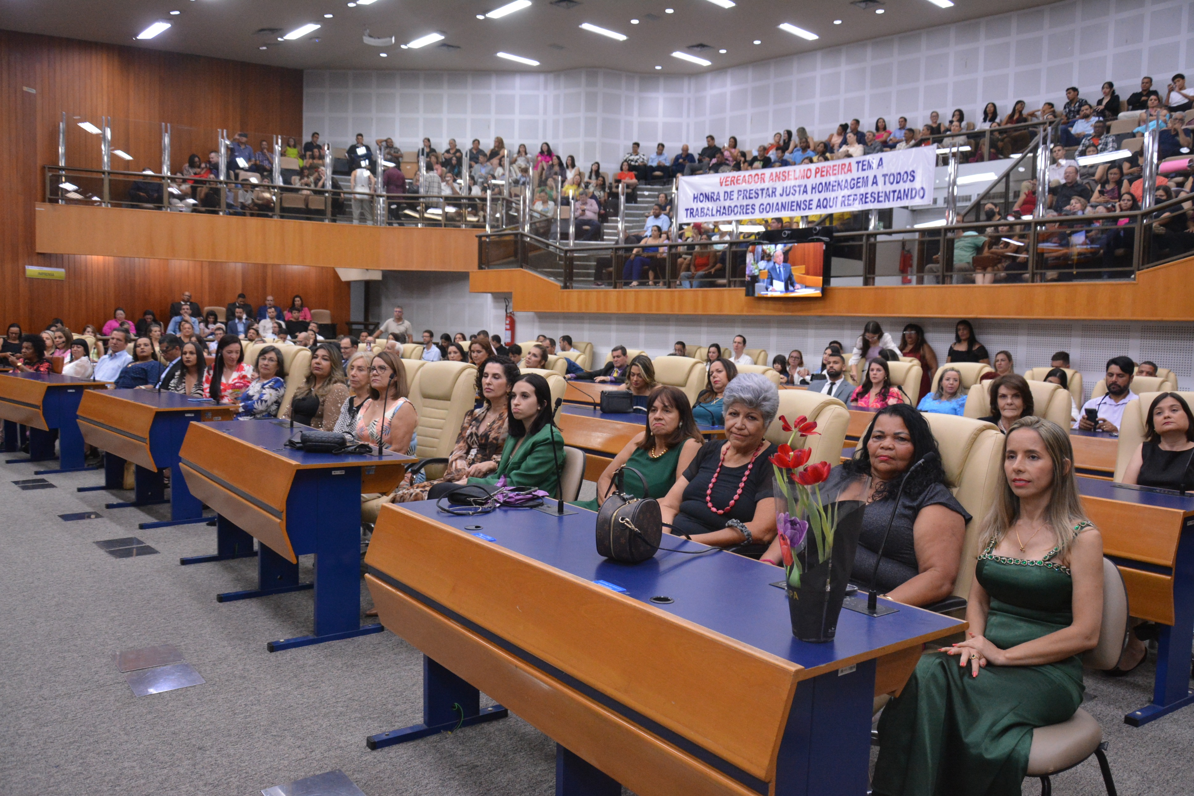 FOTO ANTONIO SILVA (140).JPG