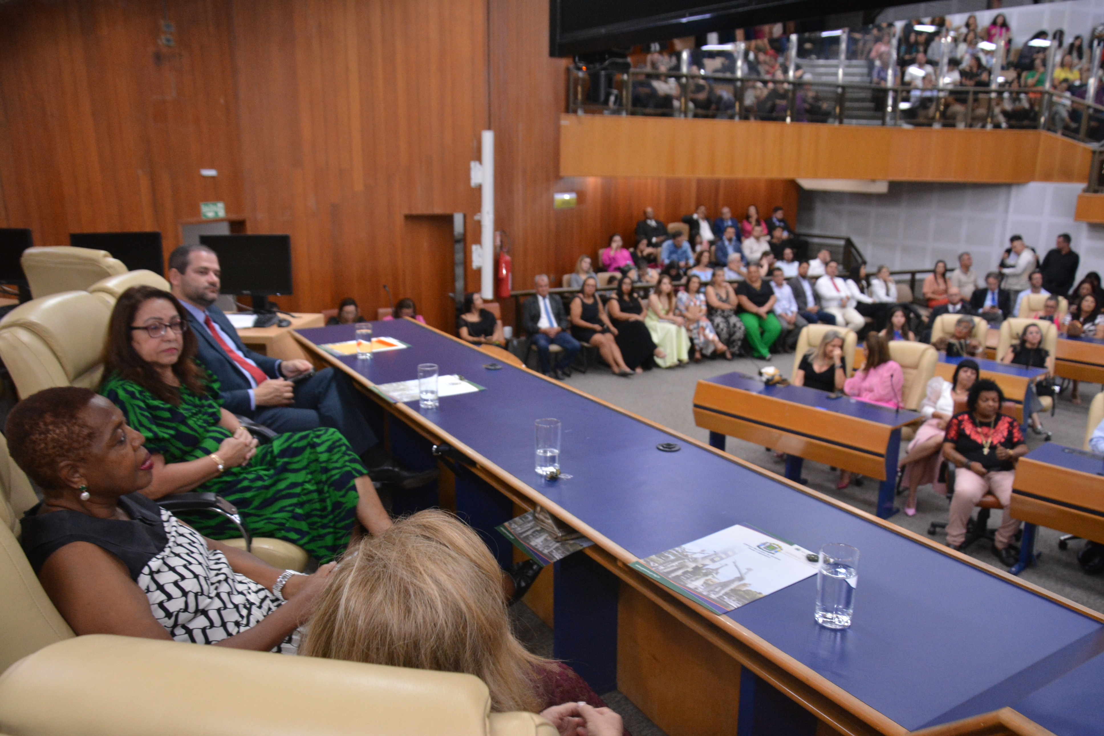 FOTO ANTONIO SILVA (187).JPG