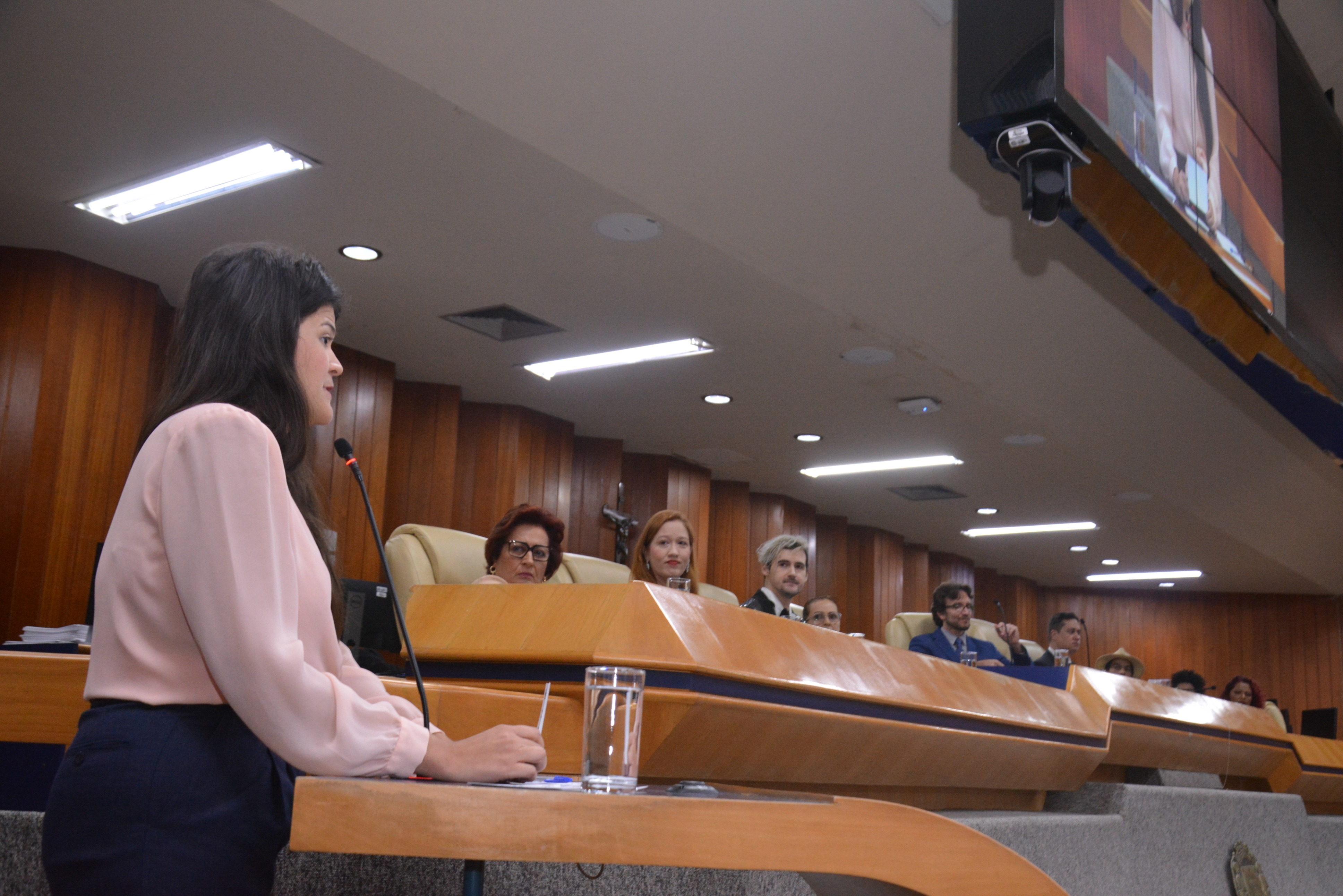 FOTO ANTONIO SILVA (28).JPG