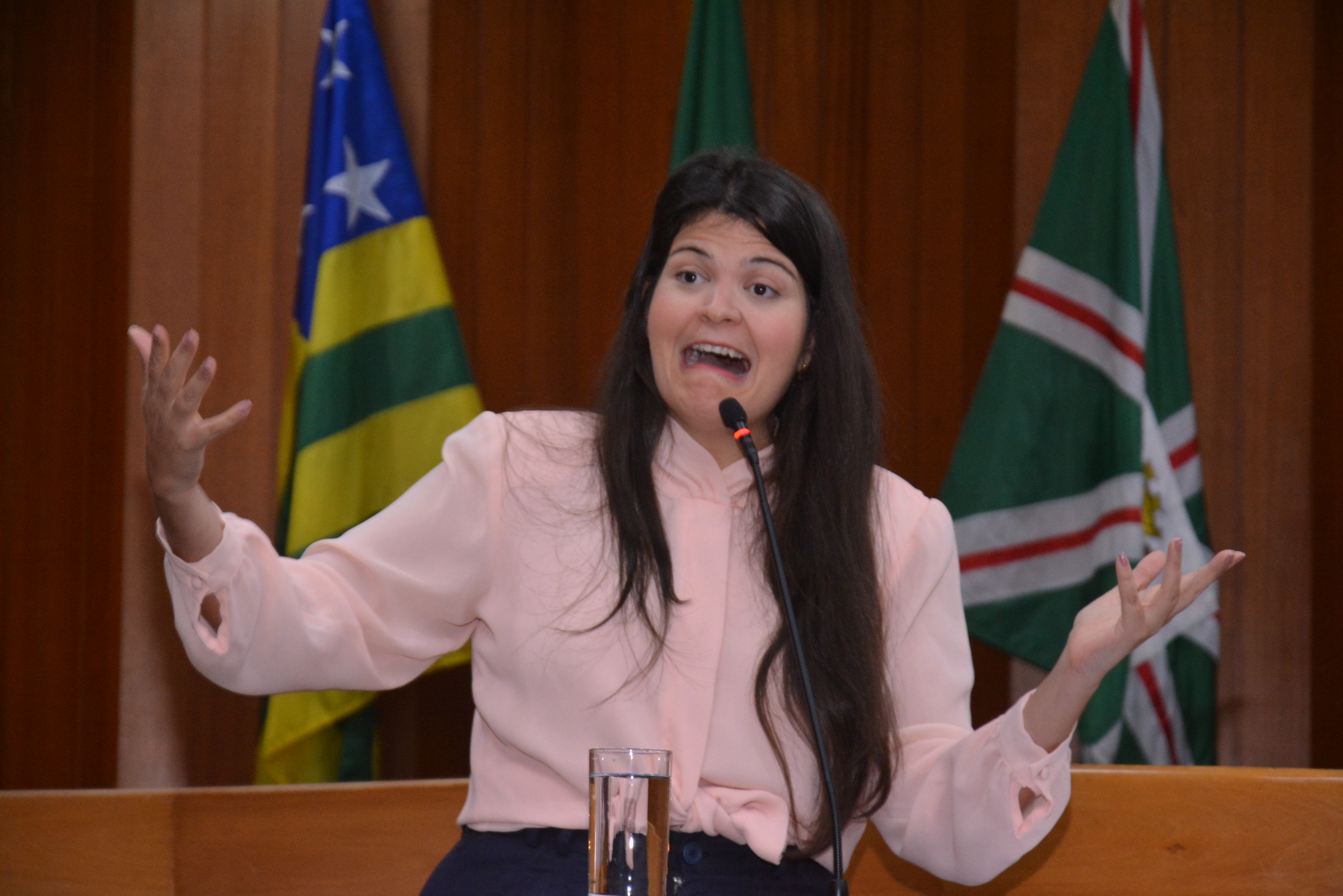 FOTO ANTONIO SILVA (38).JPG