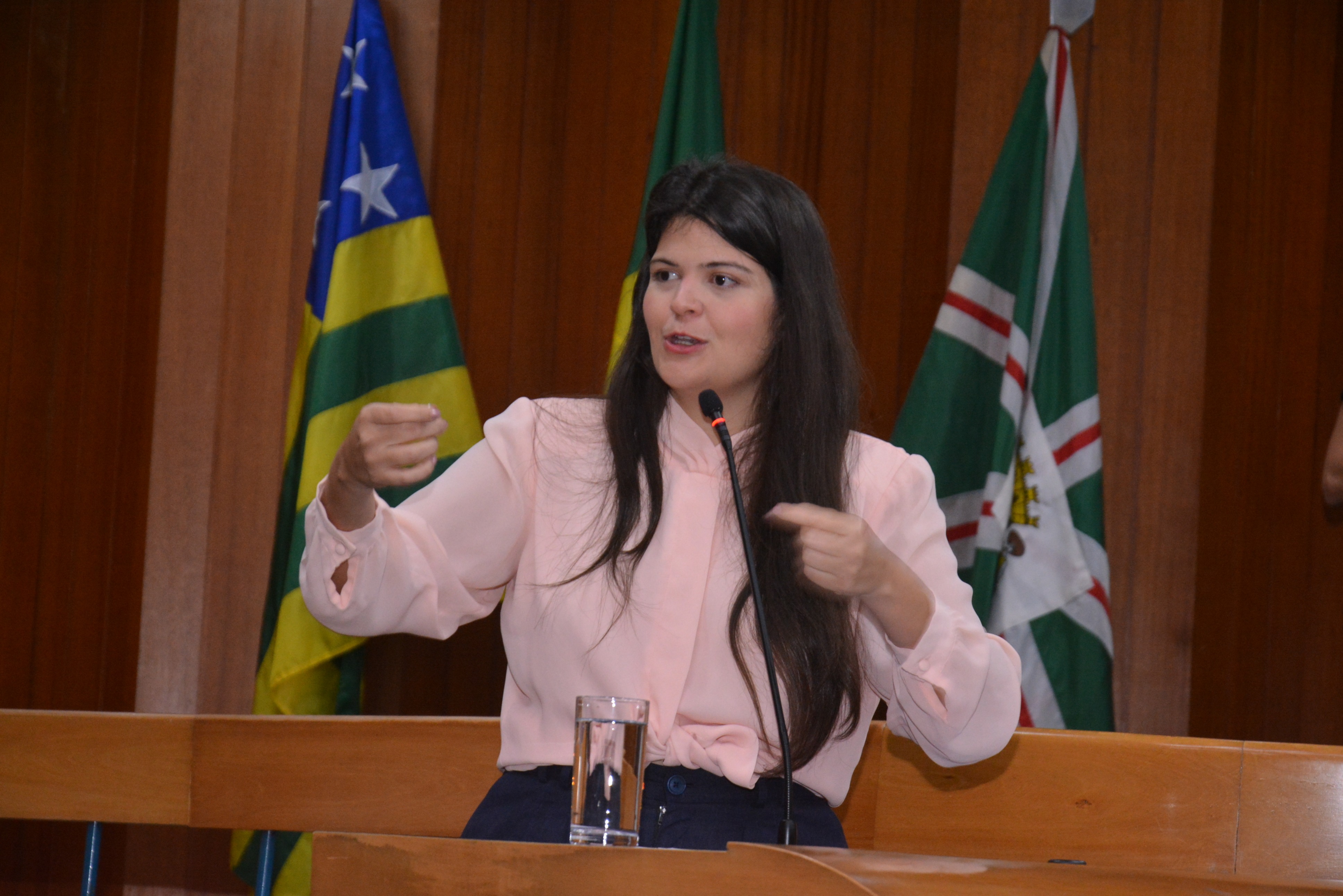 FOTO ANTONIO SILVA (39).JPG