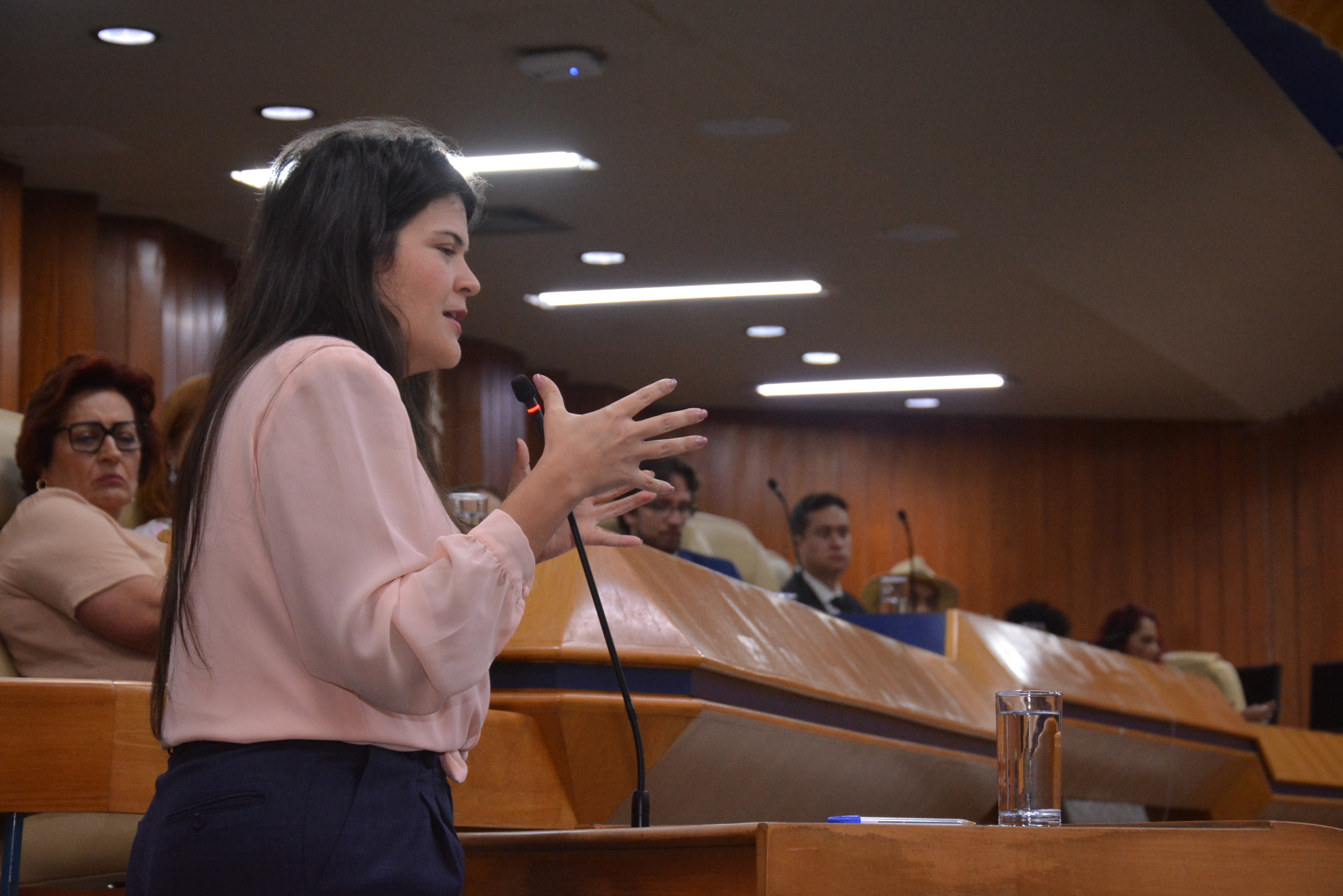 FOTO ANTONIO SILVA (47).JPG