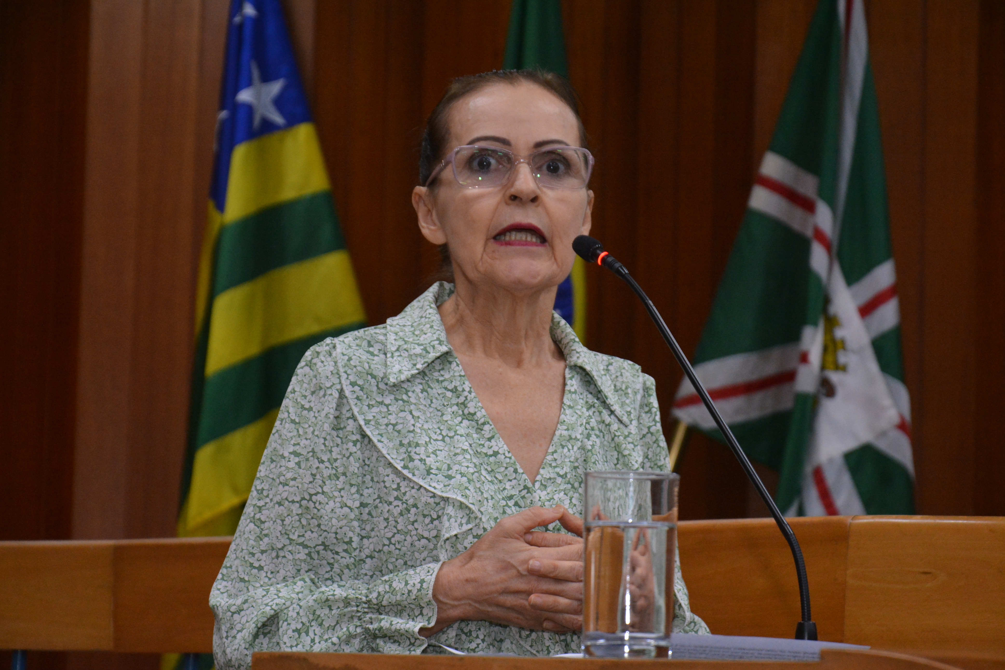 FOTO ANTONIO SILVA (73).JPG