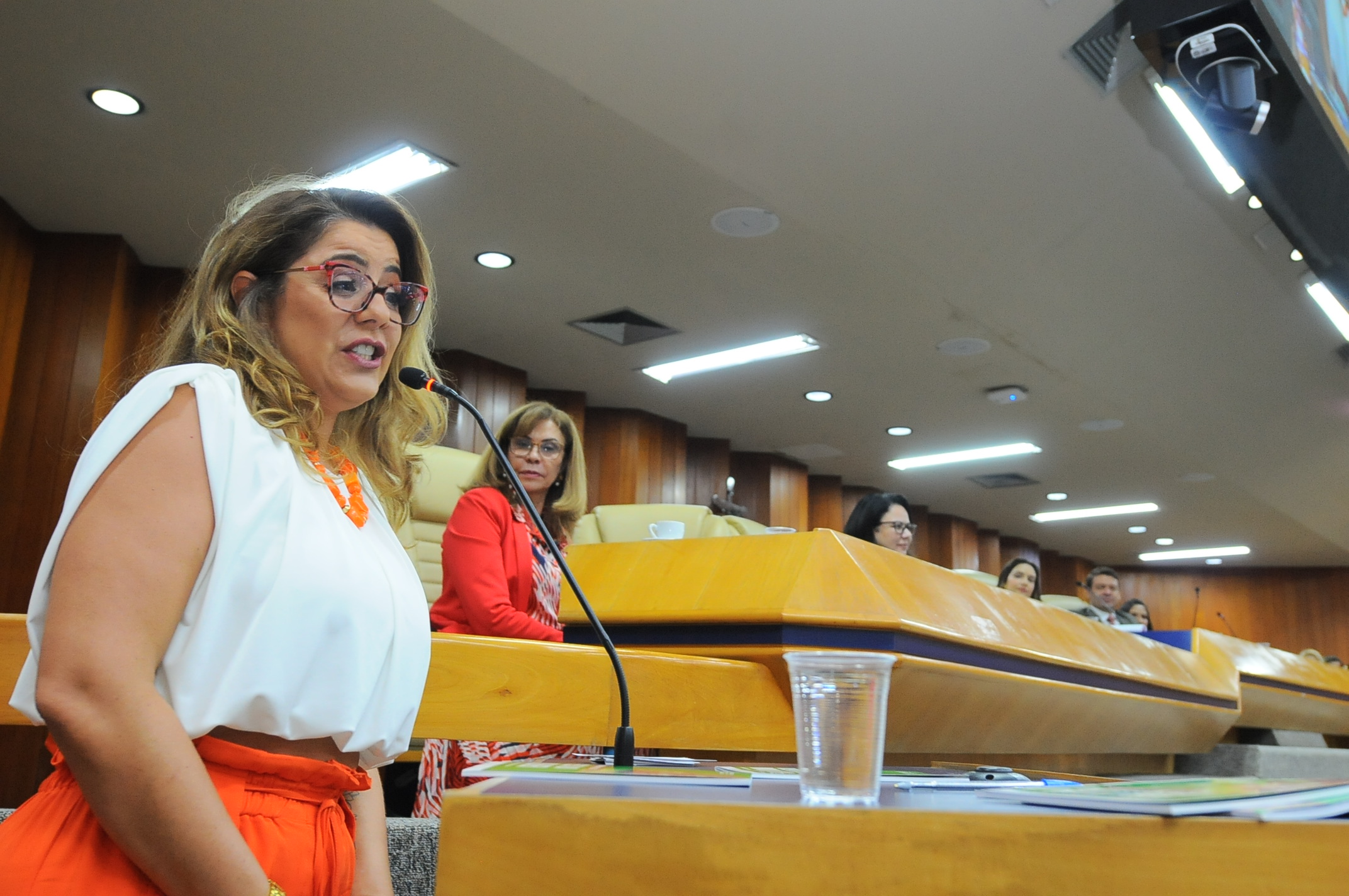 FOTO ANTONIO SILVA (163).JPG