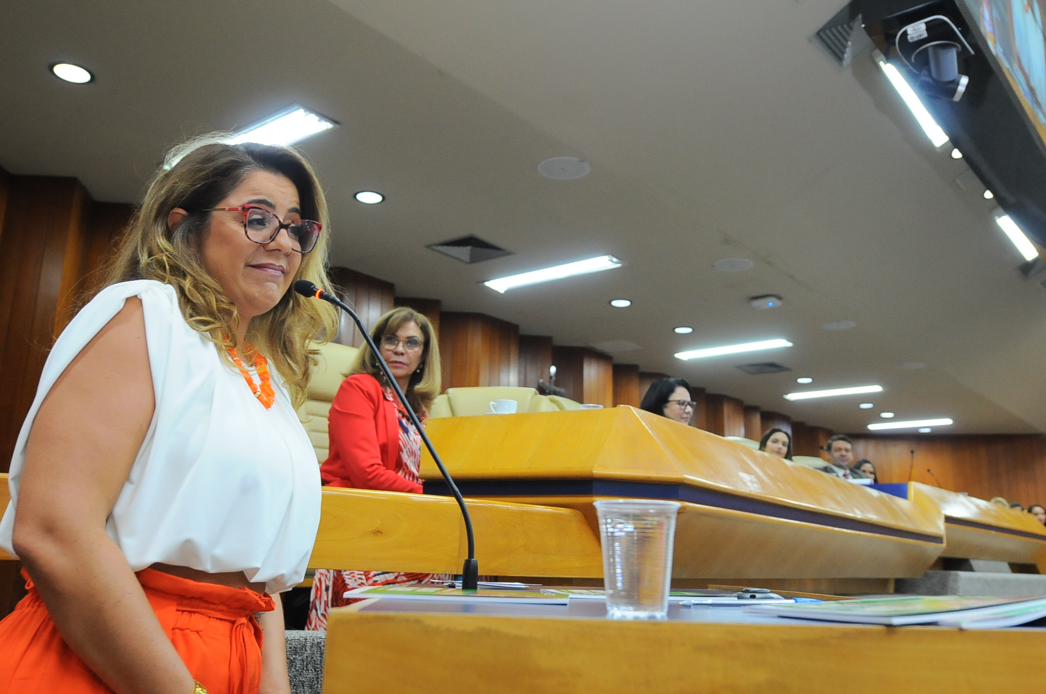 FOTO ANTONIO SILVA (164).JPG
