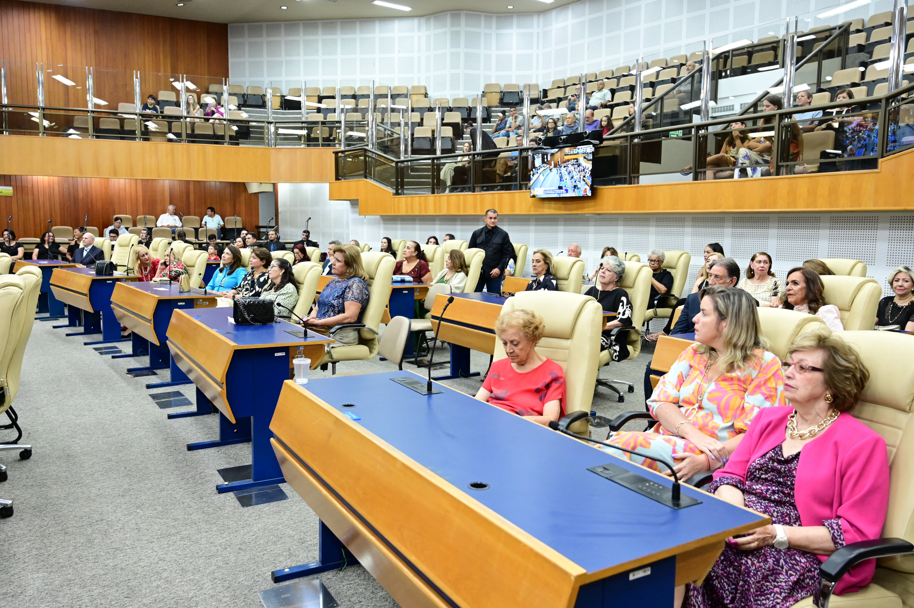 FOTO ANTONIO SILVA (17).JPG