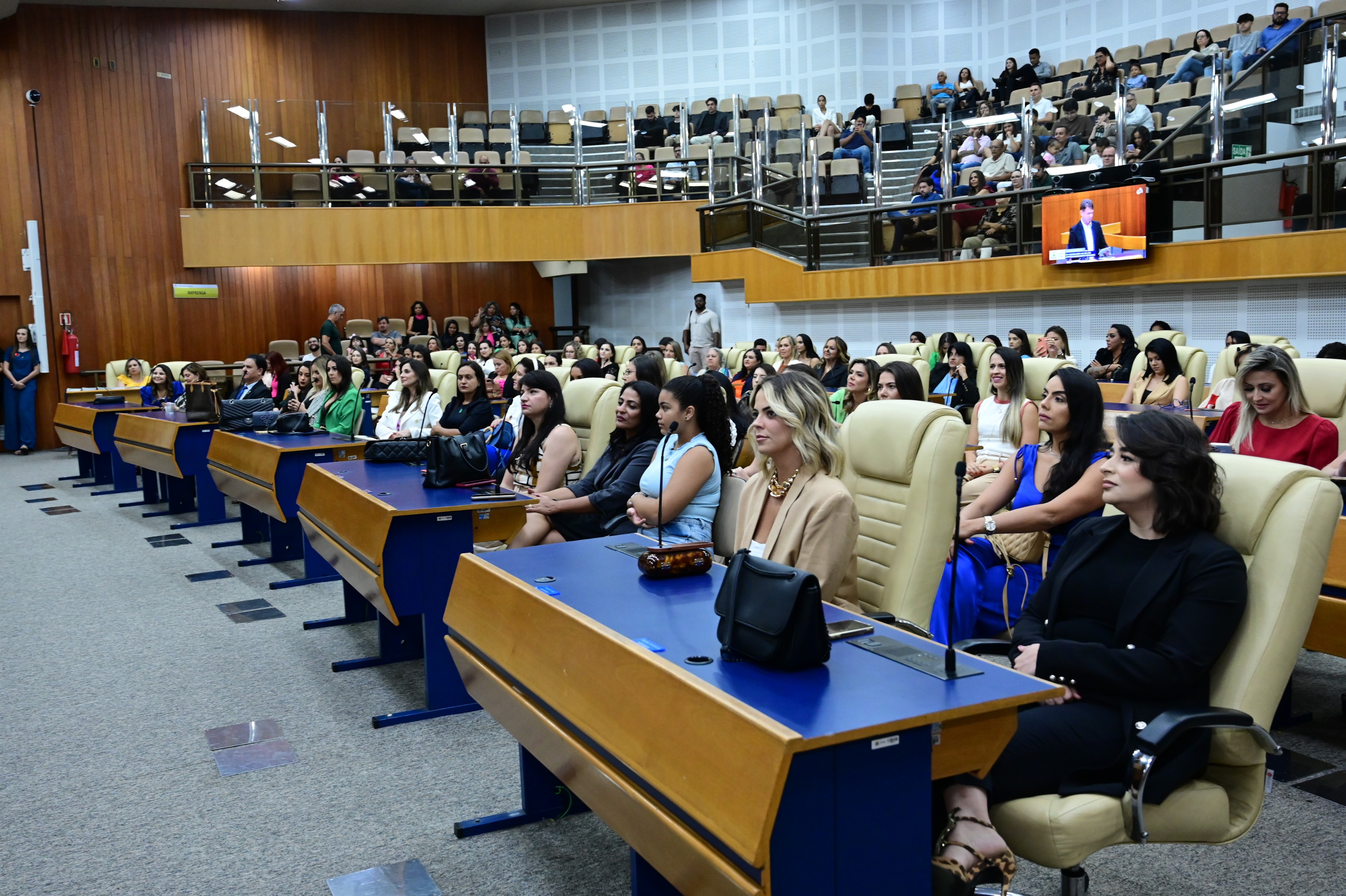 FOTO ANTONIO SILVA (82).JPG