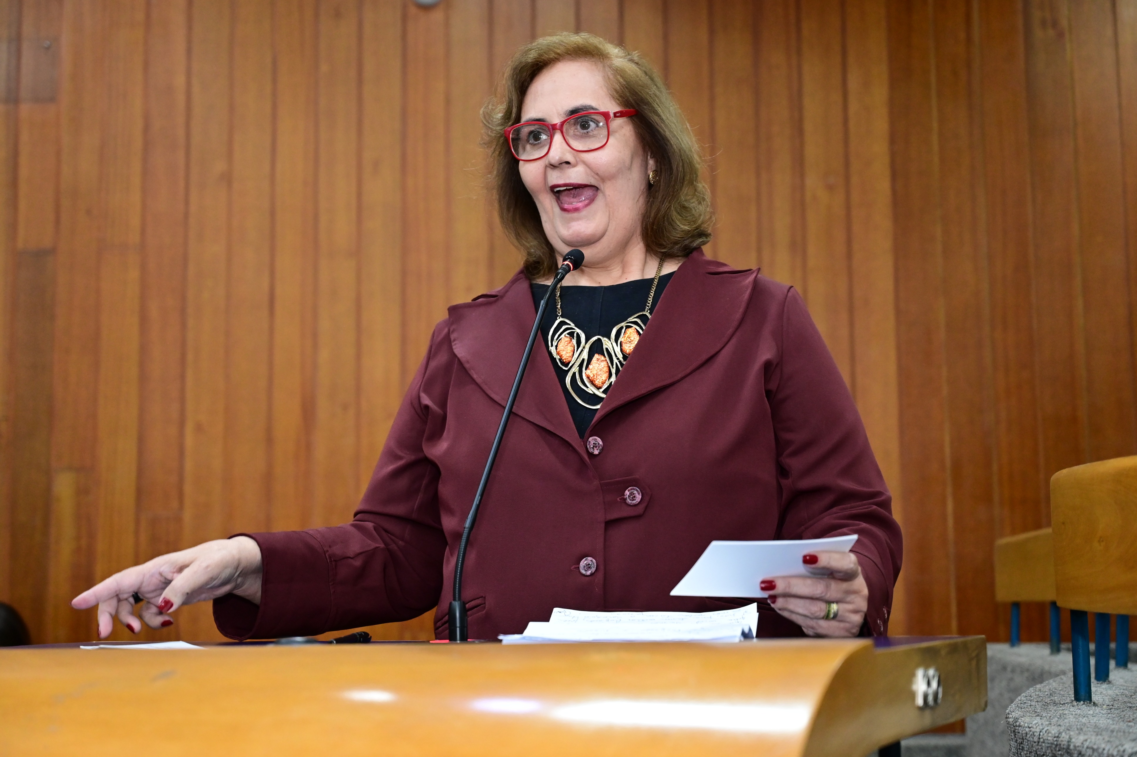 foto antonio silva (106).JPG