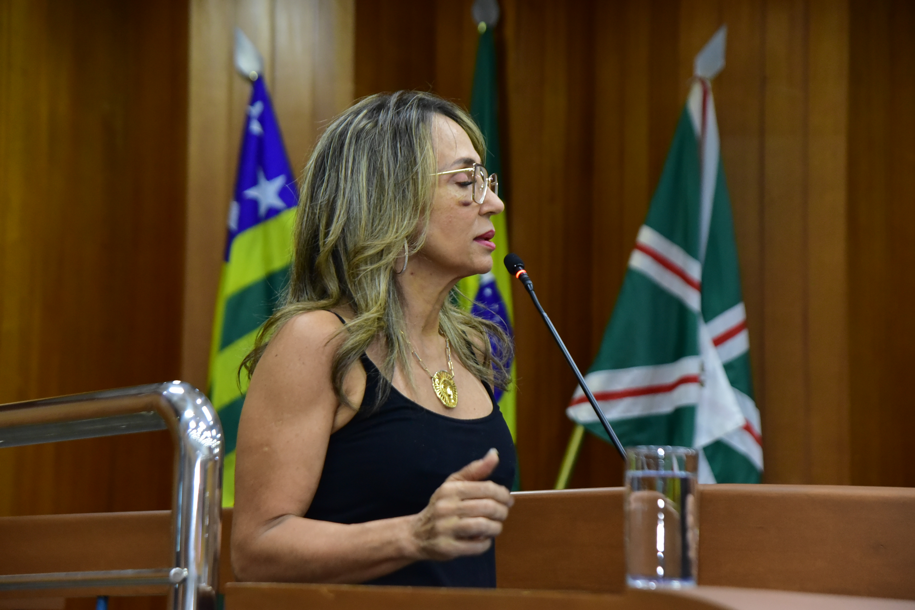 FOTO ANTONIO SILVA (107).JPG