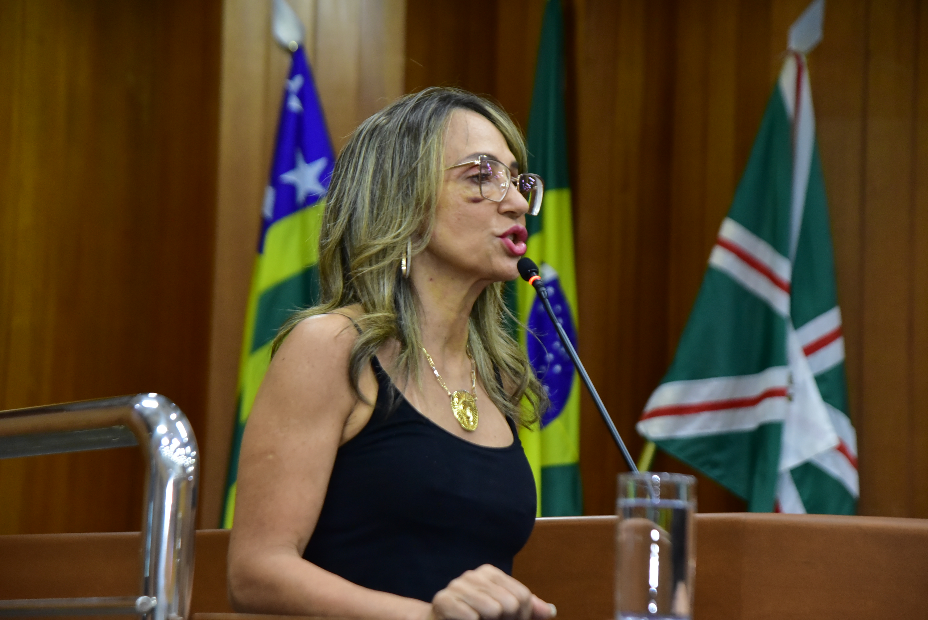 FOTO ANTONIO SILVA (108).JPG