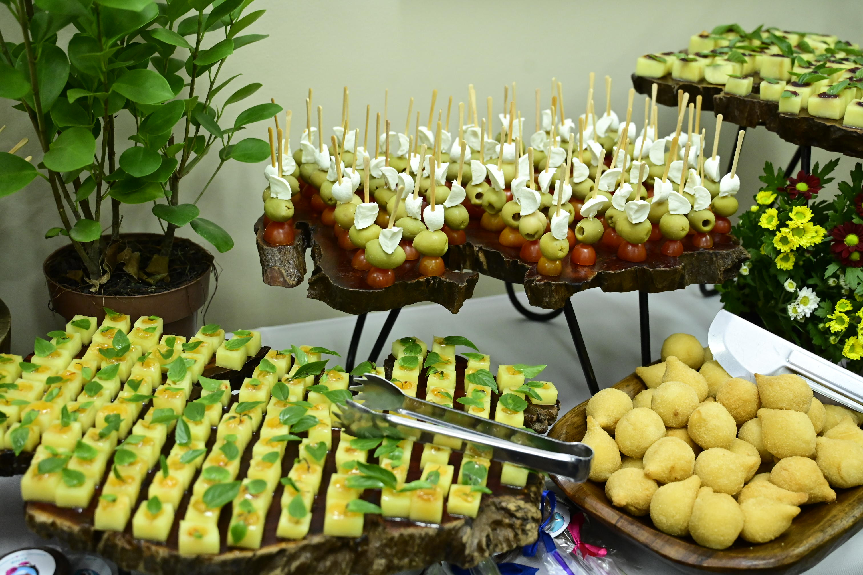 FOTO ANTONIO SILVA (100).JPG