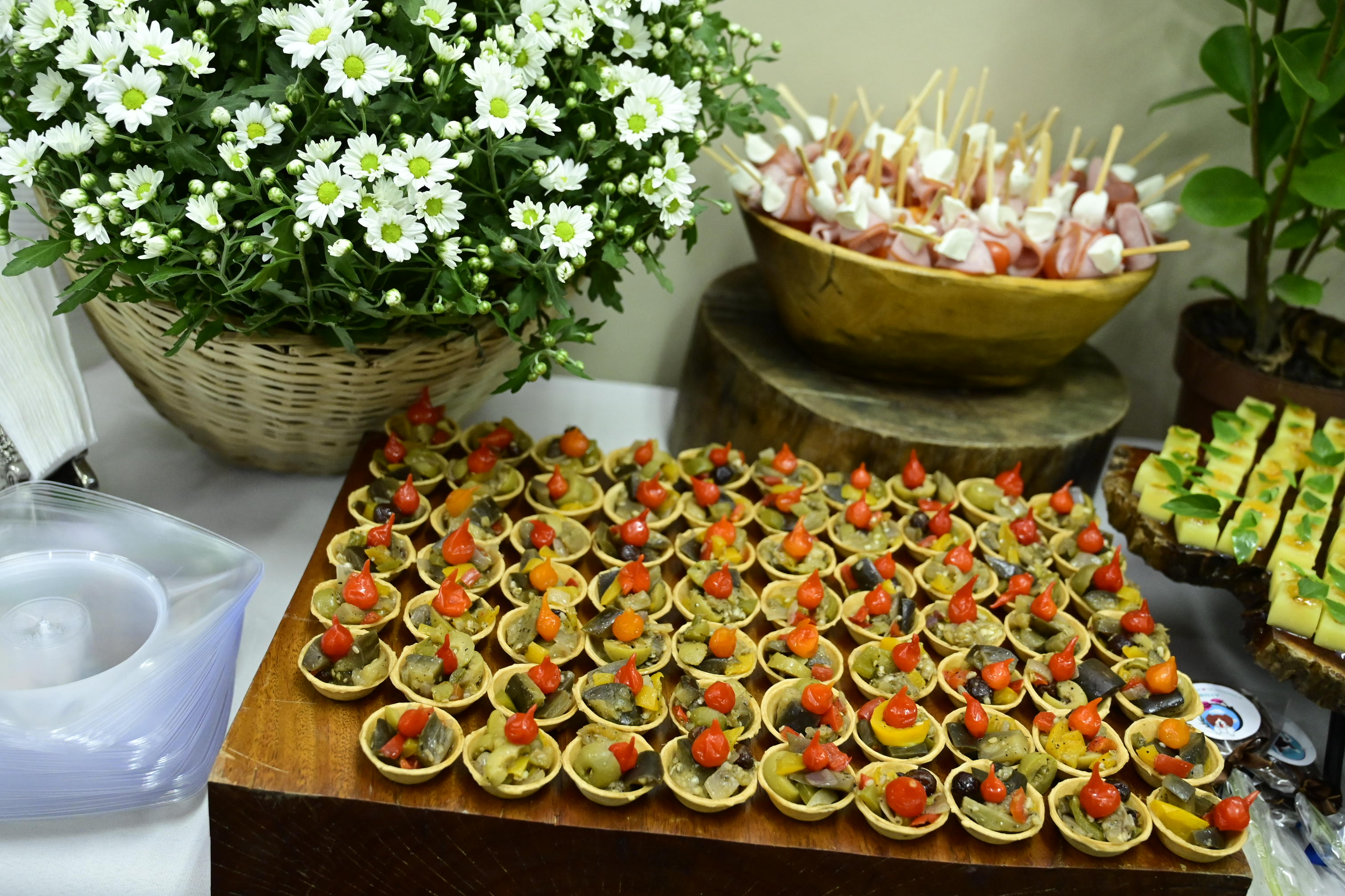 FOTO ANTONIO SILVA (101).JPG