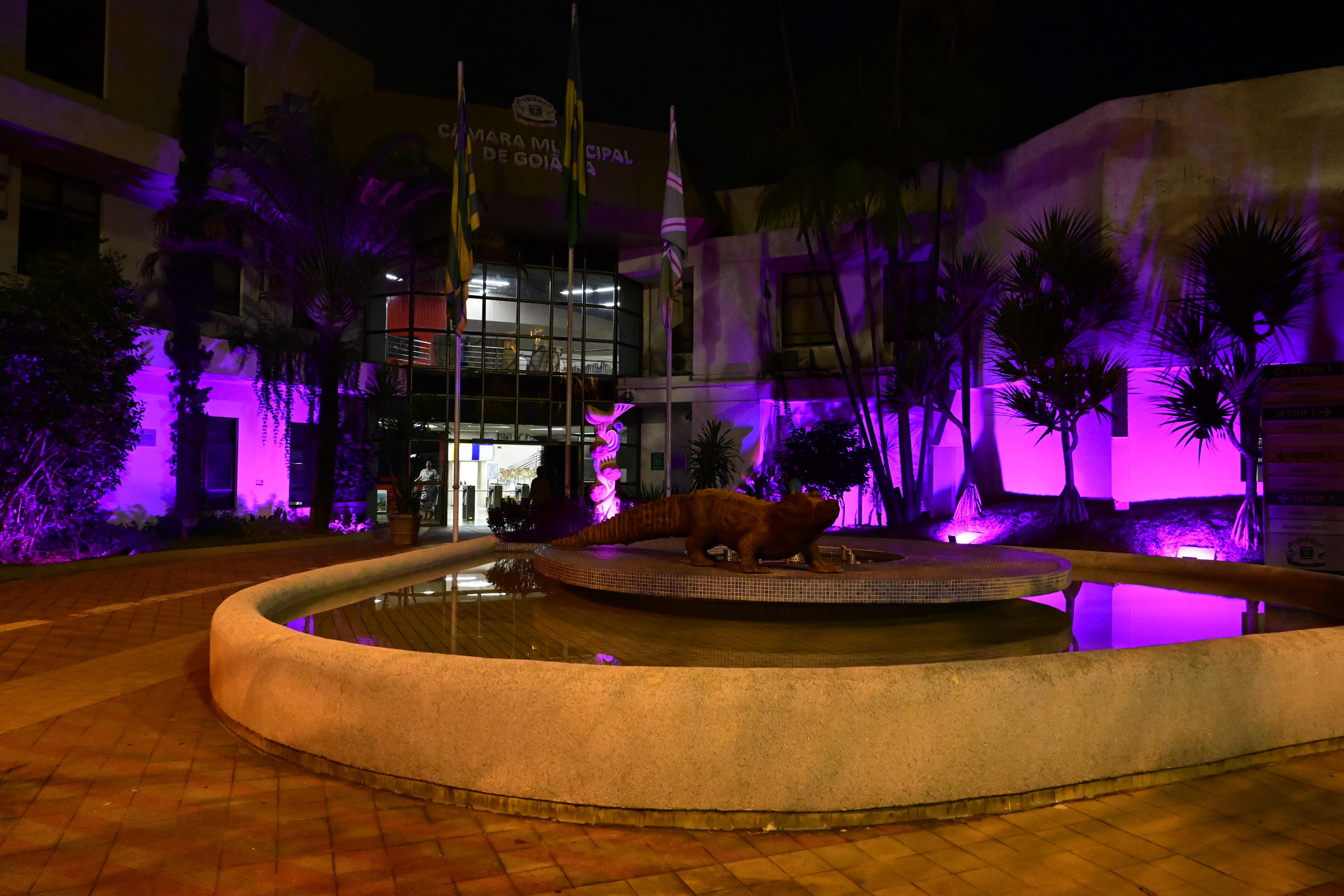 FOTO ANTONIO SILVA (13).JPG