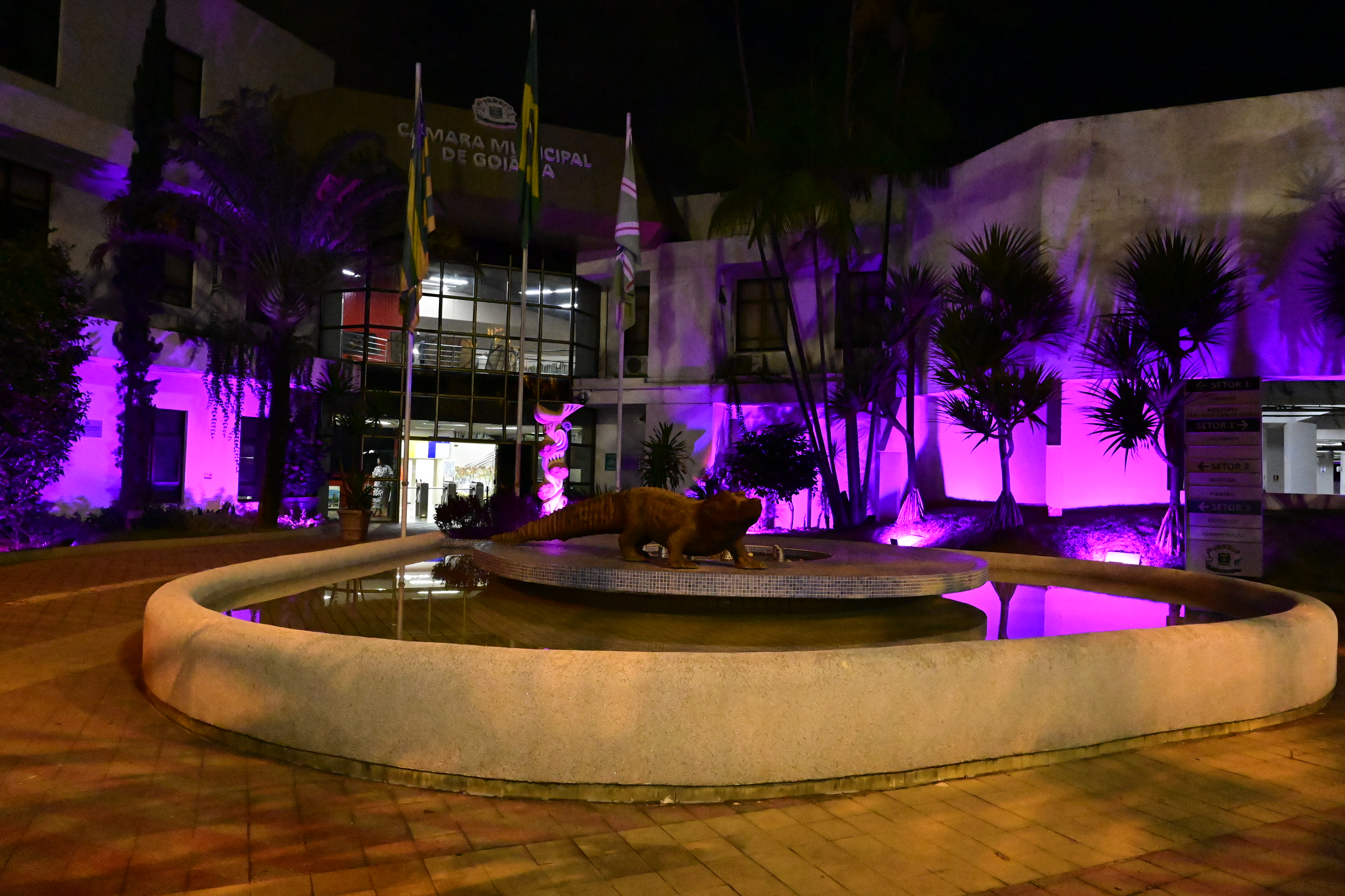 FOTO ANTONIO SILVA (16).JPG