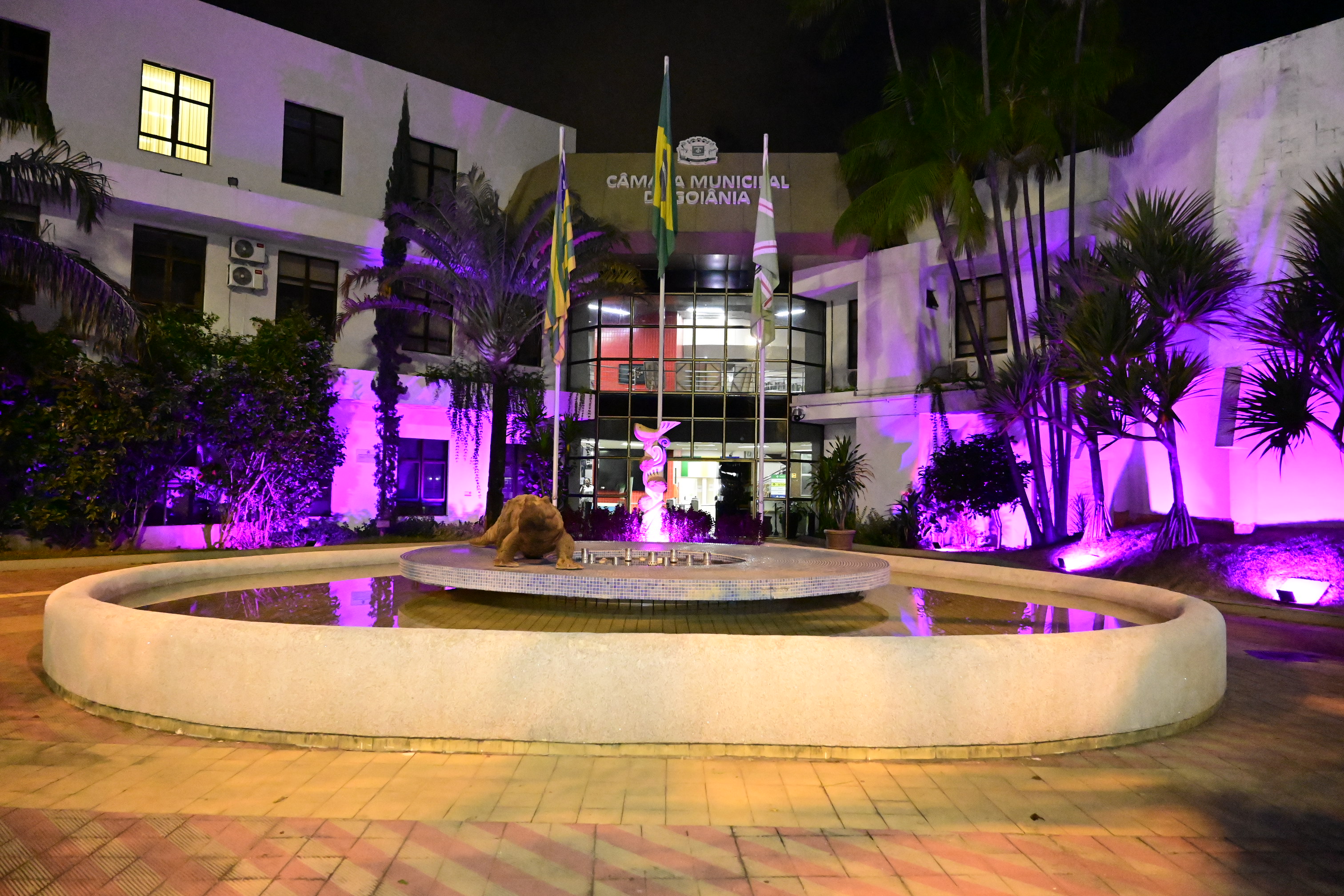 FOTO ANTONIO SILVA (20).JPG