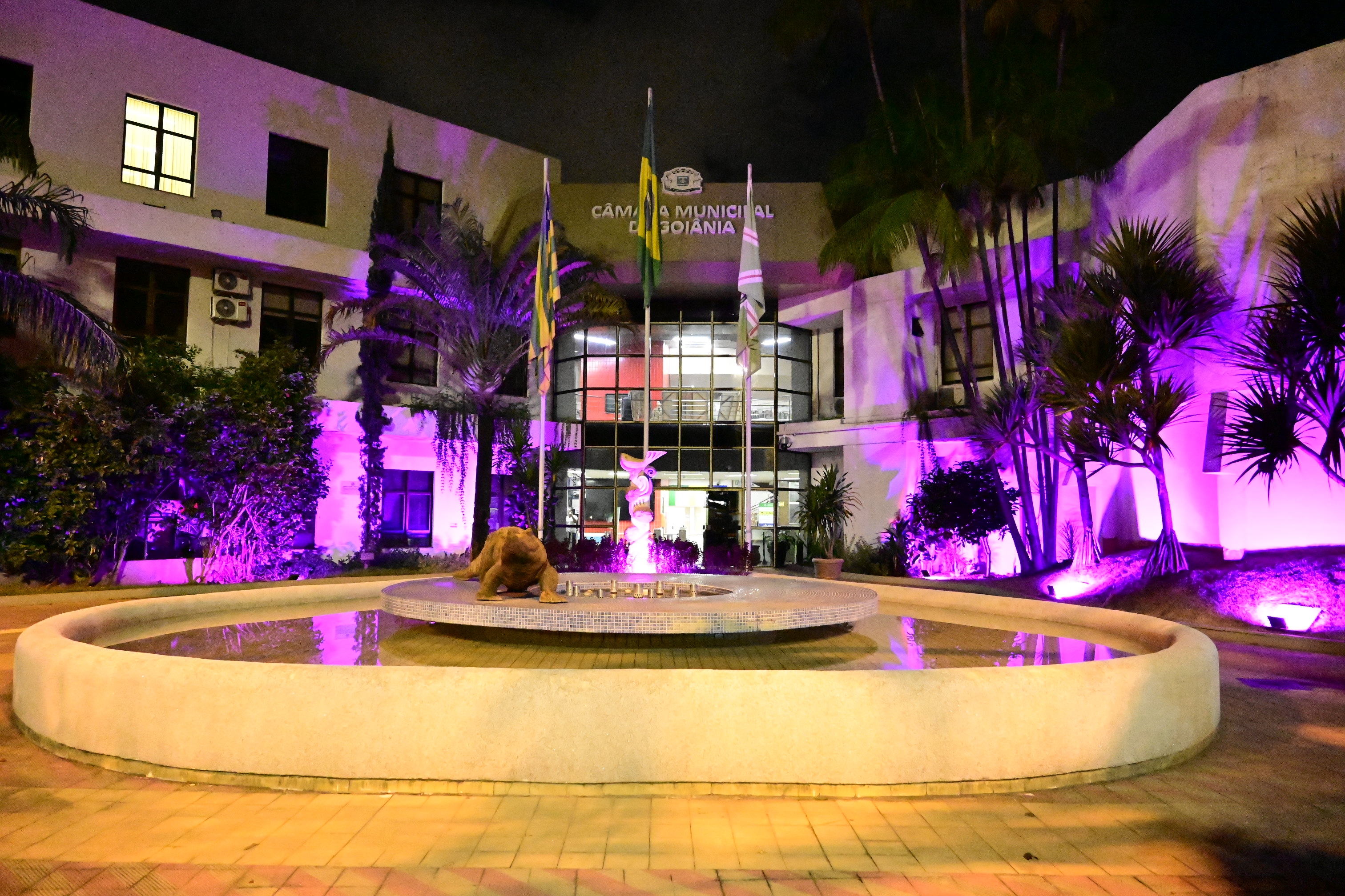 FOTO ANTONIO SILVA (22).JPG