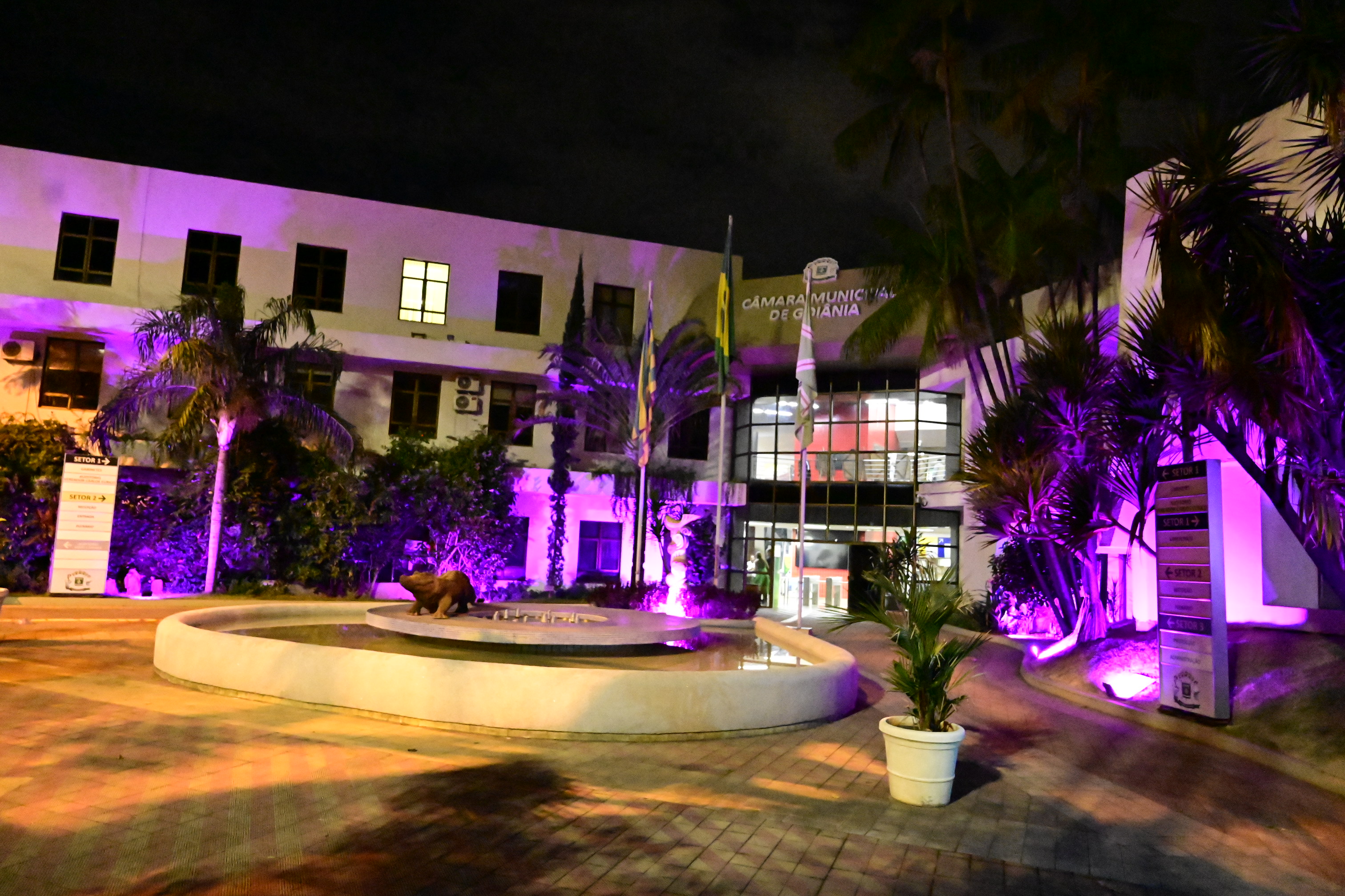 FOTO ANTONIO SILVA (25).JPG