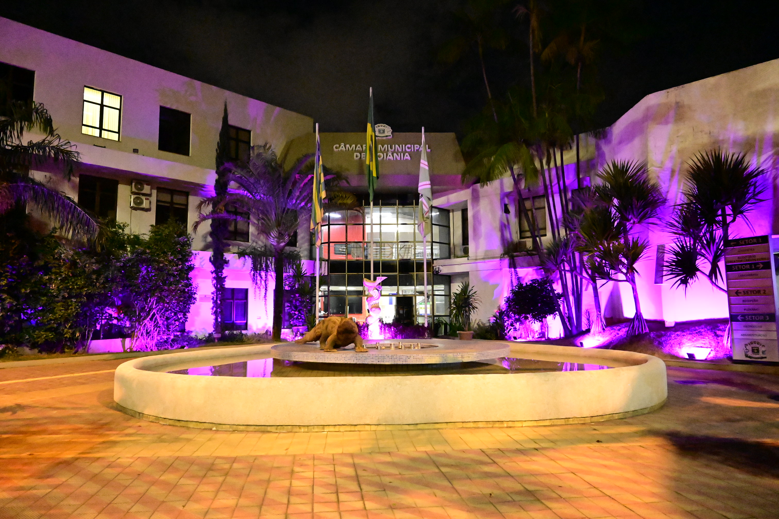 FOTO ANTONIO SILVA (27).JPG