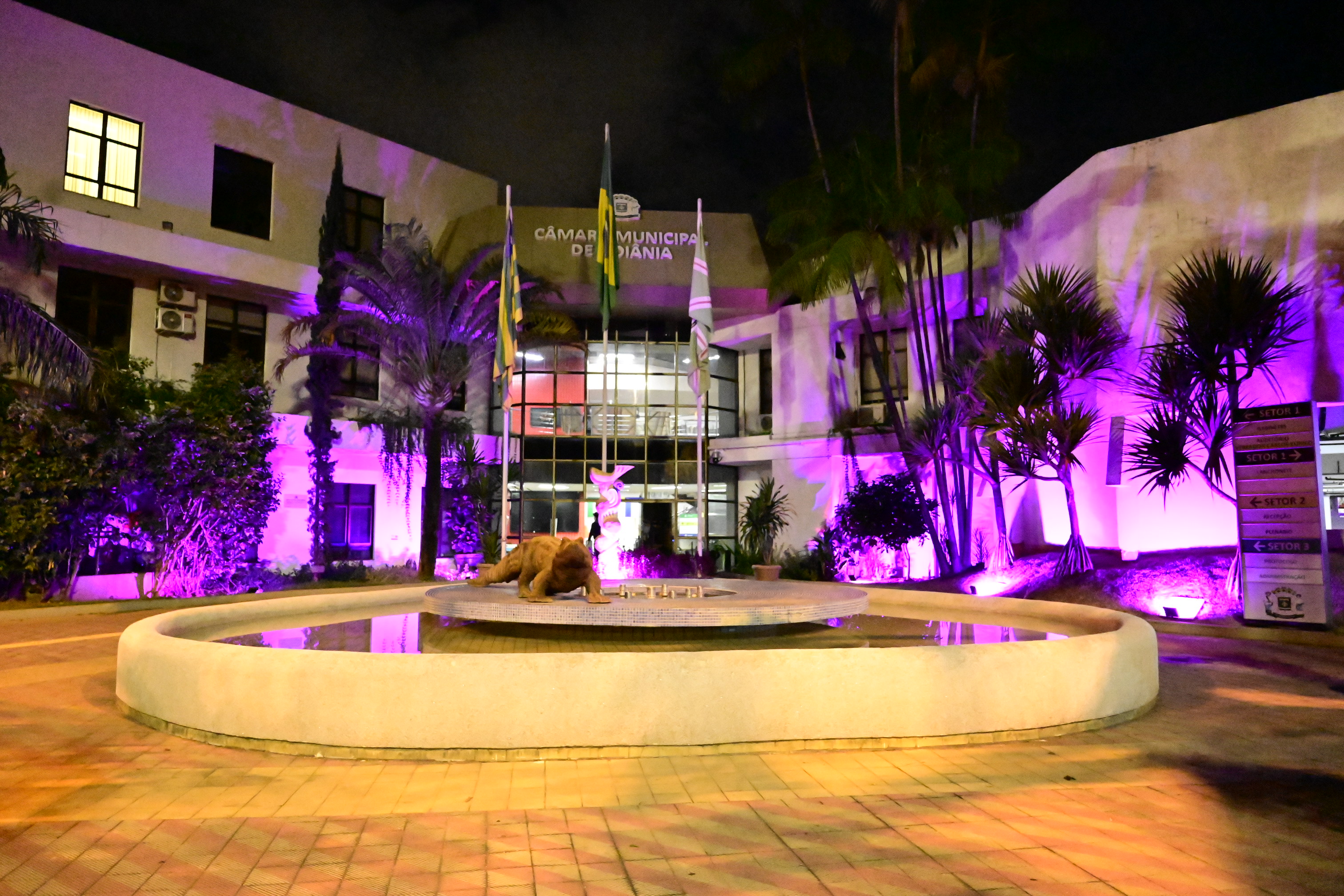 FOTO ANTONIO SILVA (31).JPG