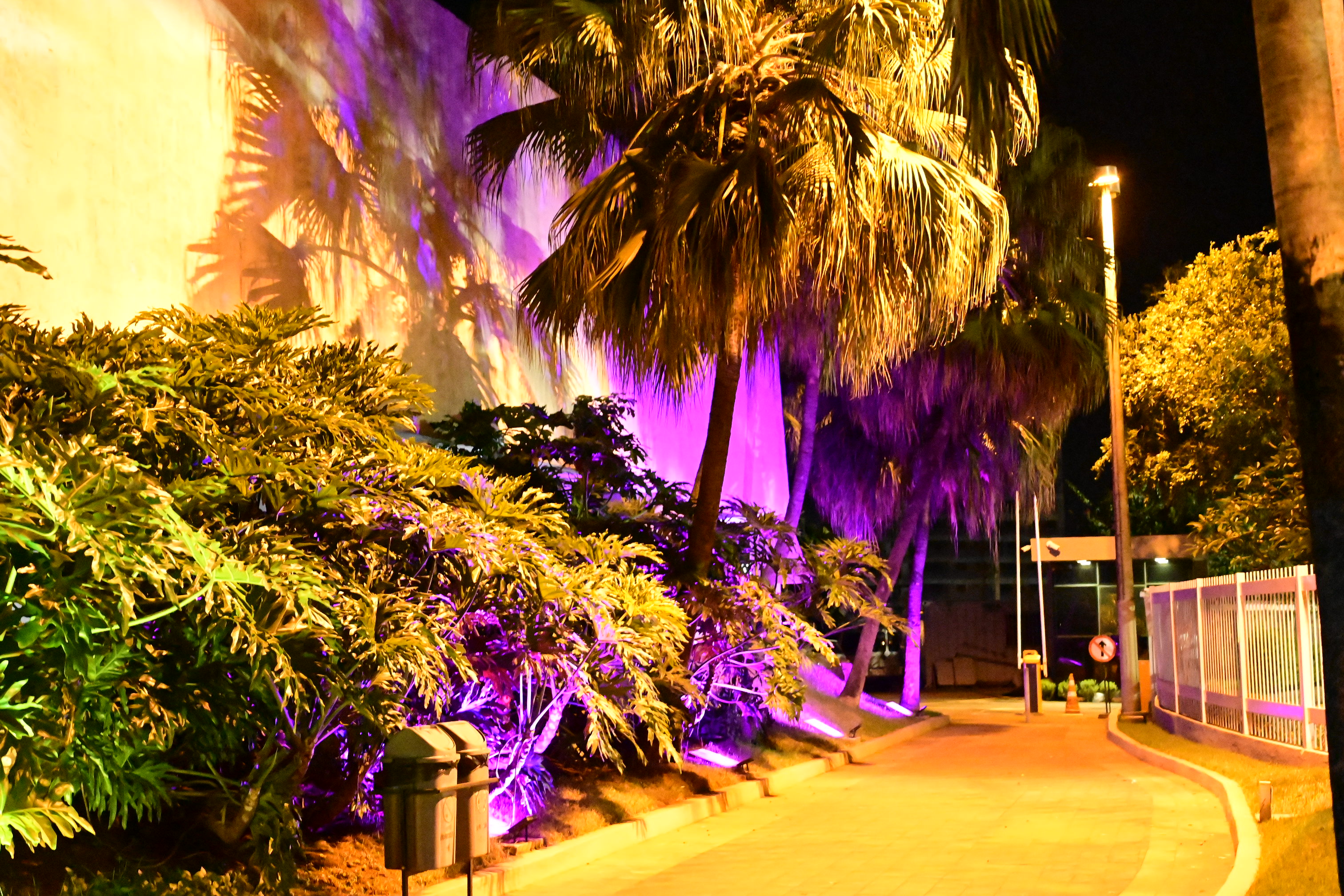 FOTO ANTONIO SILVA (32).JPG