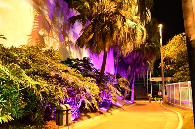 FOTO ANTONIO SILVA (32).JPG