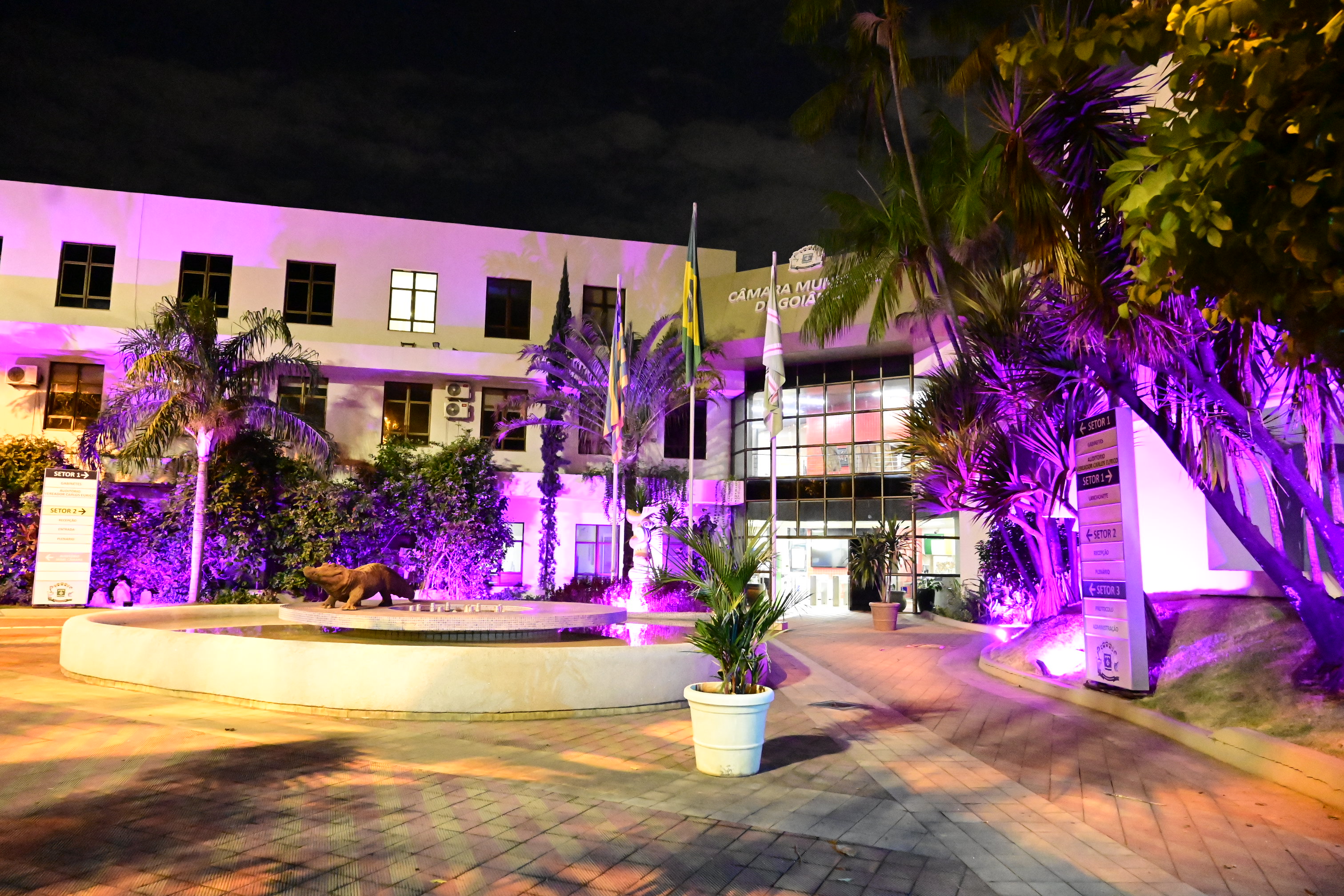 FOTO ANTONIO SILVA (37).JPG