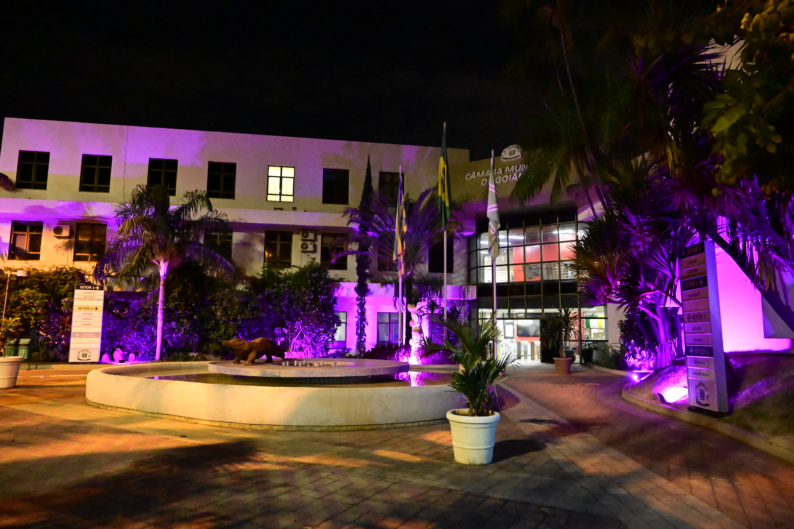 FOTO ANTONIO SILVA (38).JPG