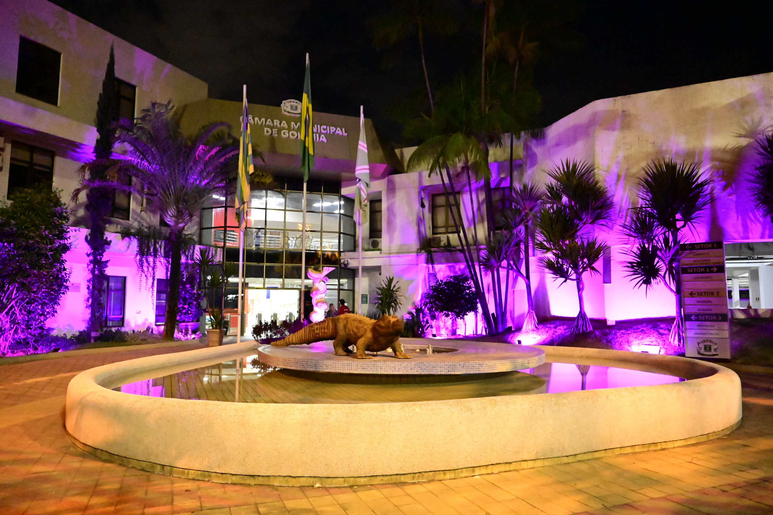 FOTO ANTONIO SILVA (41).JPG