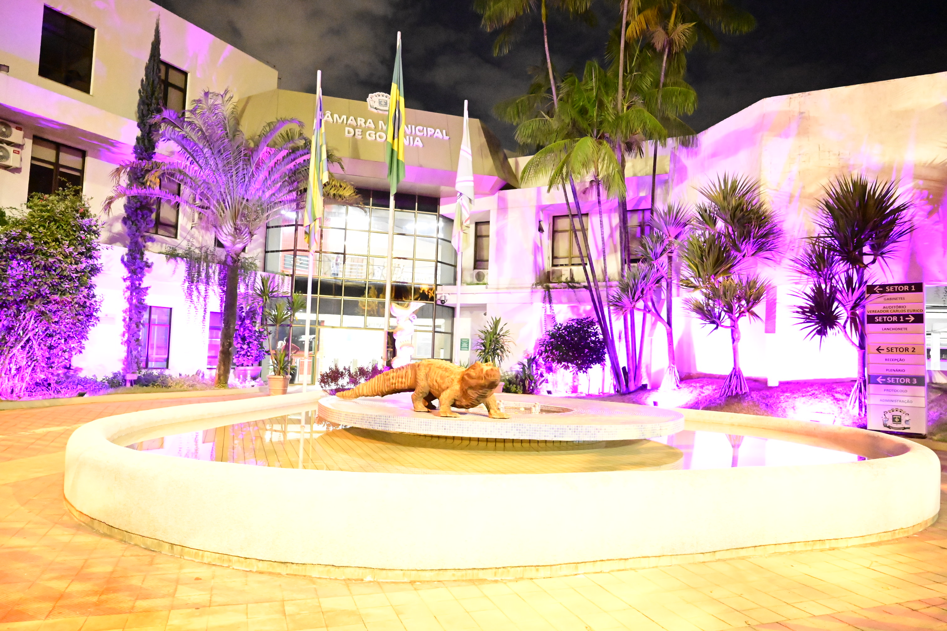 FOTO ANTONIO SILVA (42).JPG