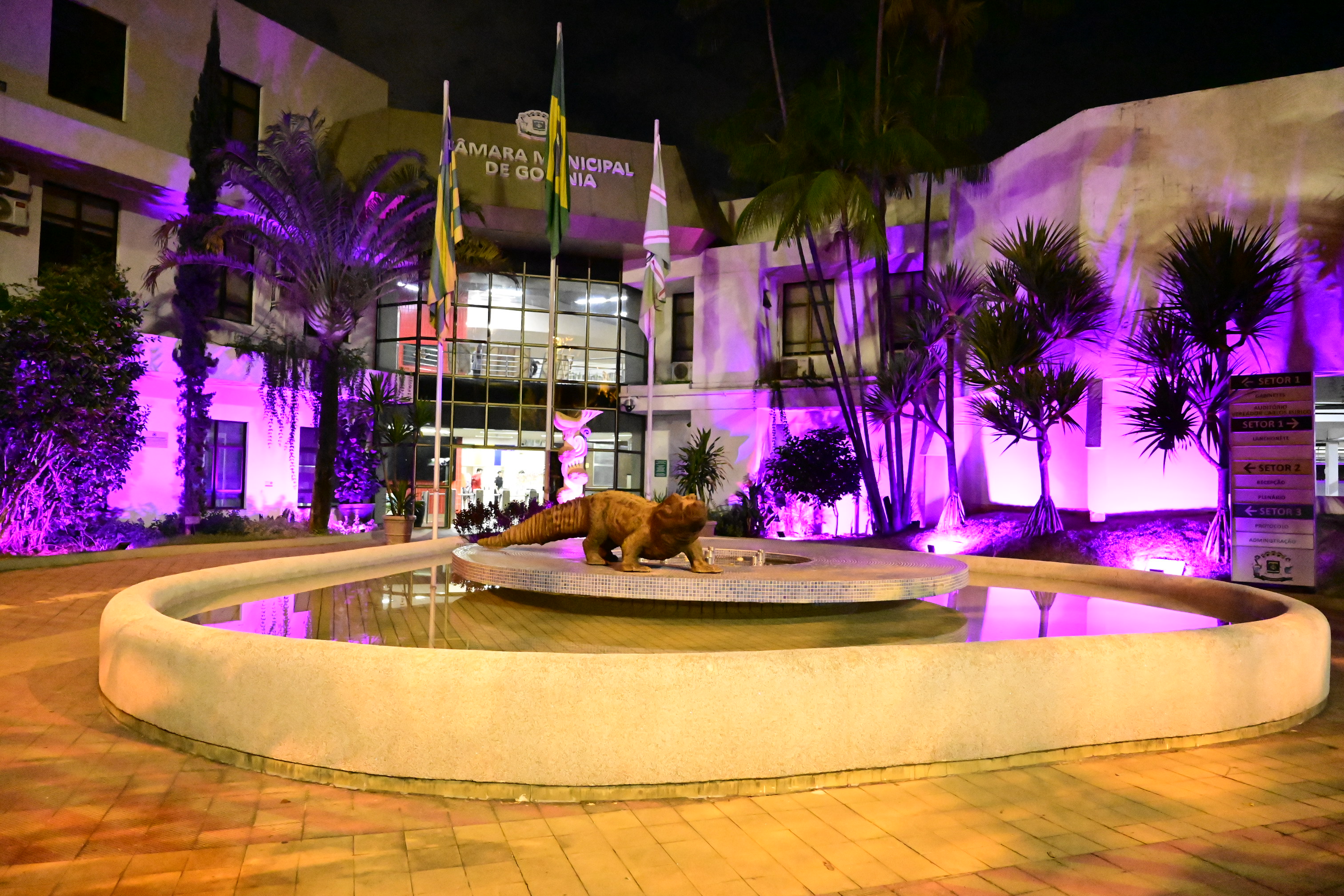 FOTO ANTONIO SILVA (43).JPG