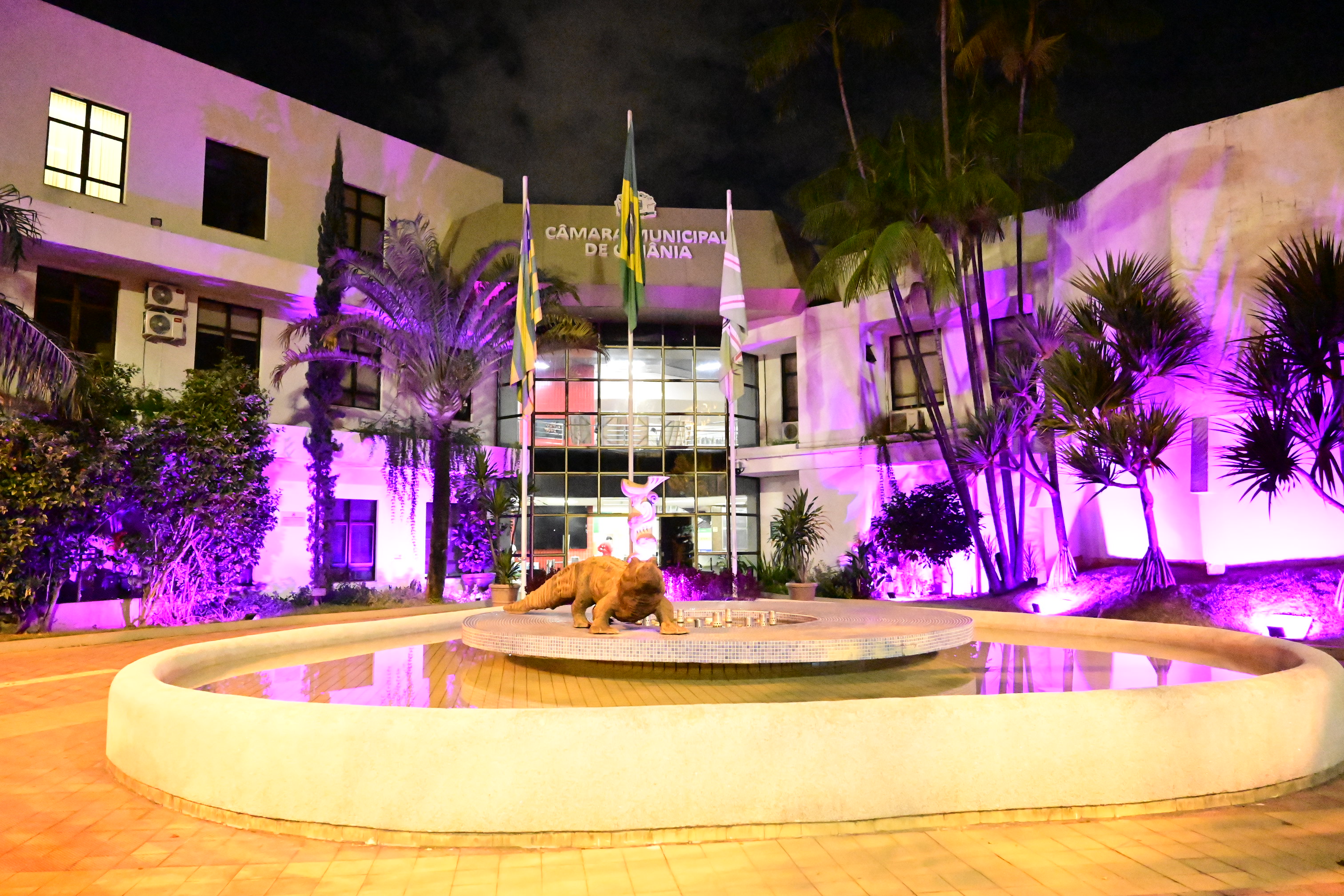 FOTO ANTONIO SILVA (52).JPG