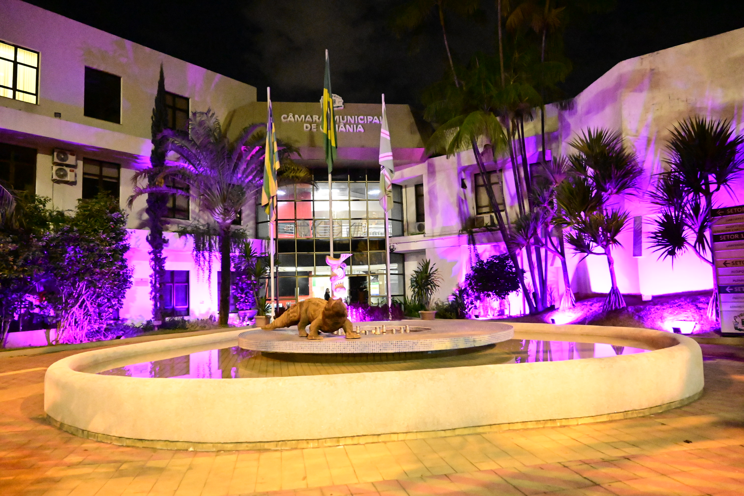 FOTO ANTONIO SILVA (67).JPG