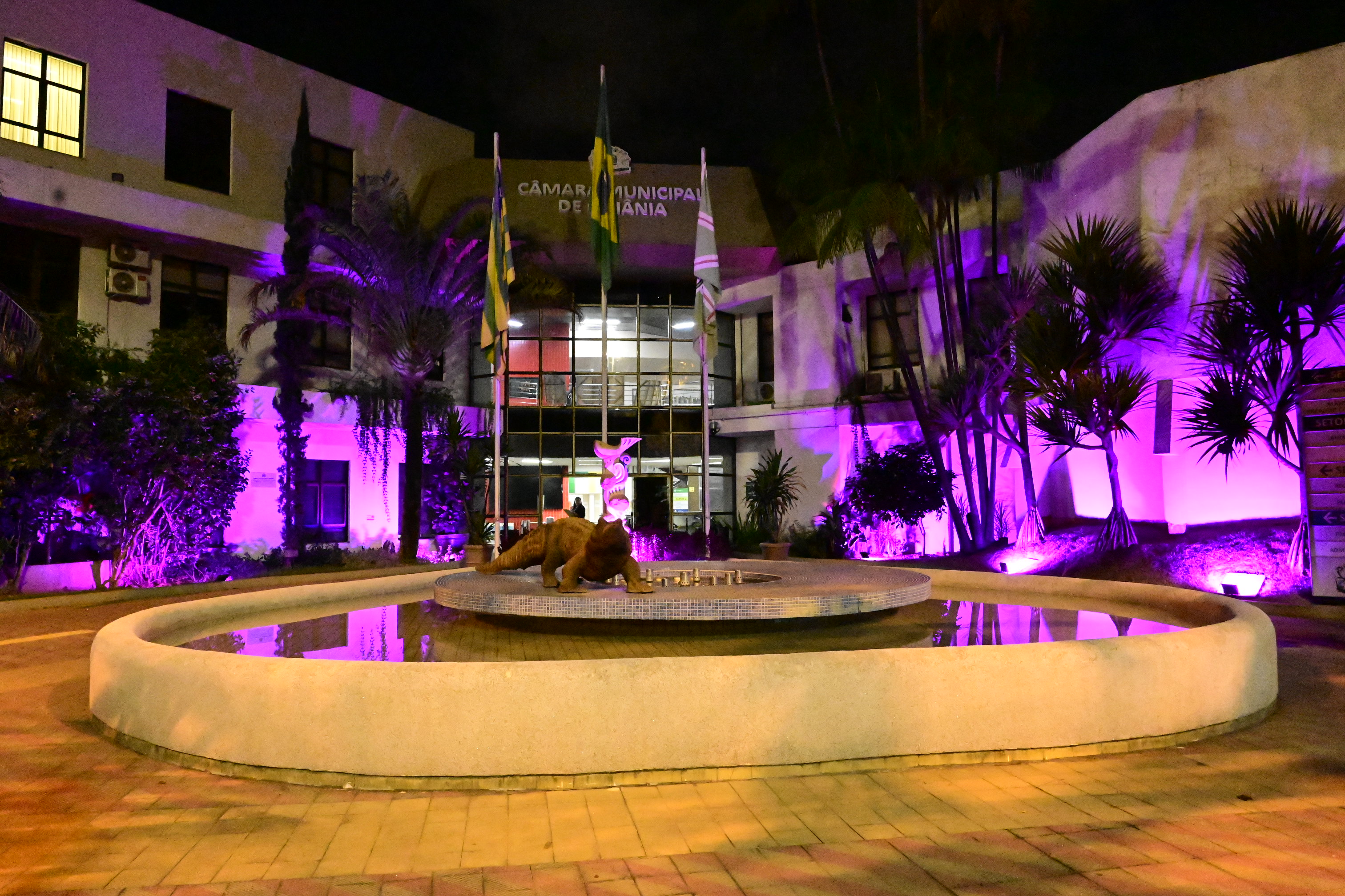 FOTO ANTONIO SILVA (71).JPG