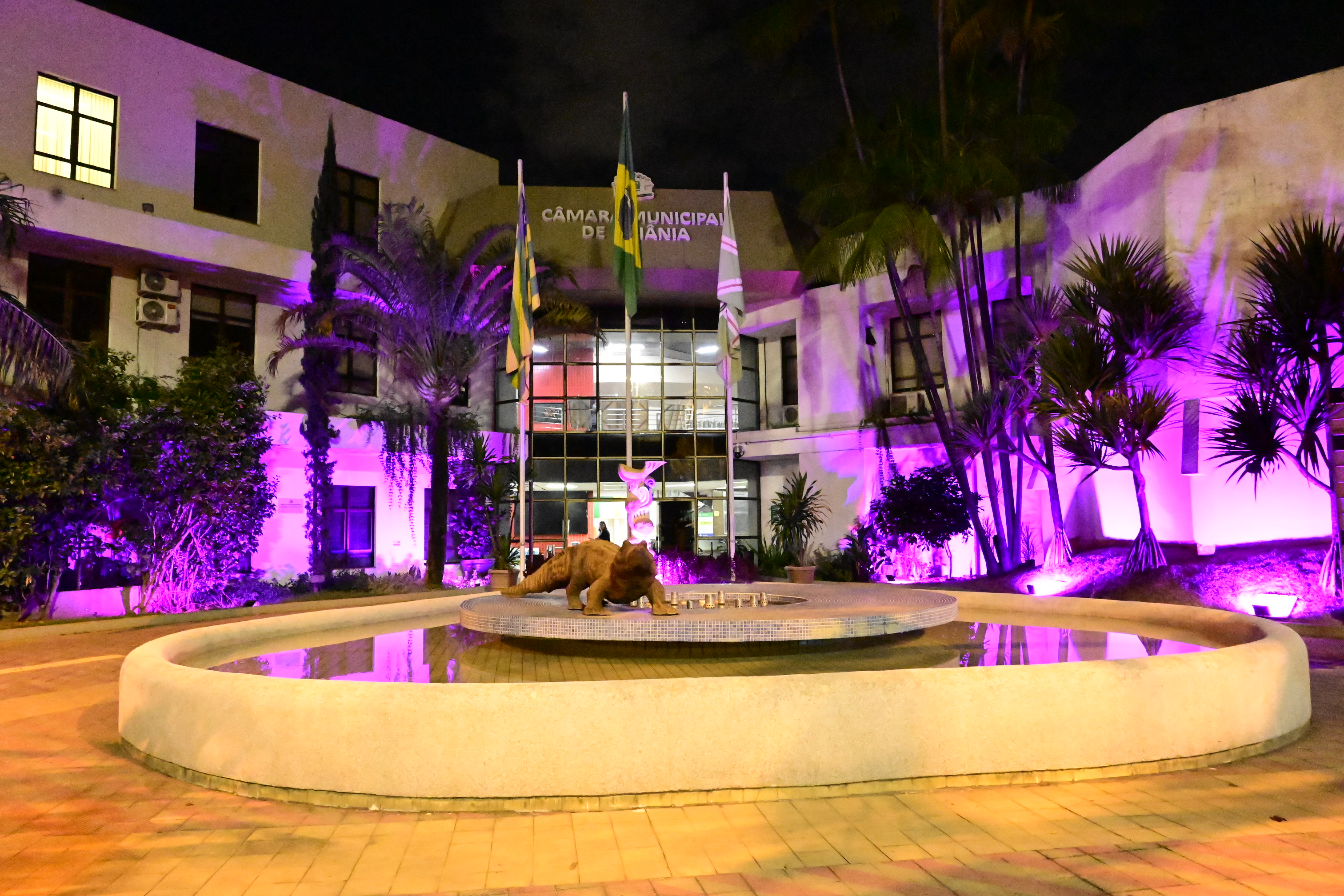 FOTO ANTONIO SILVA (72).JPG