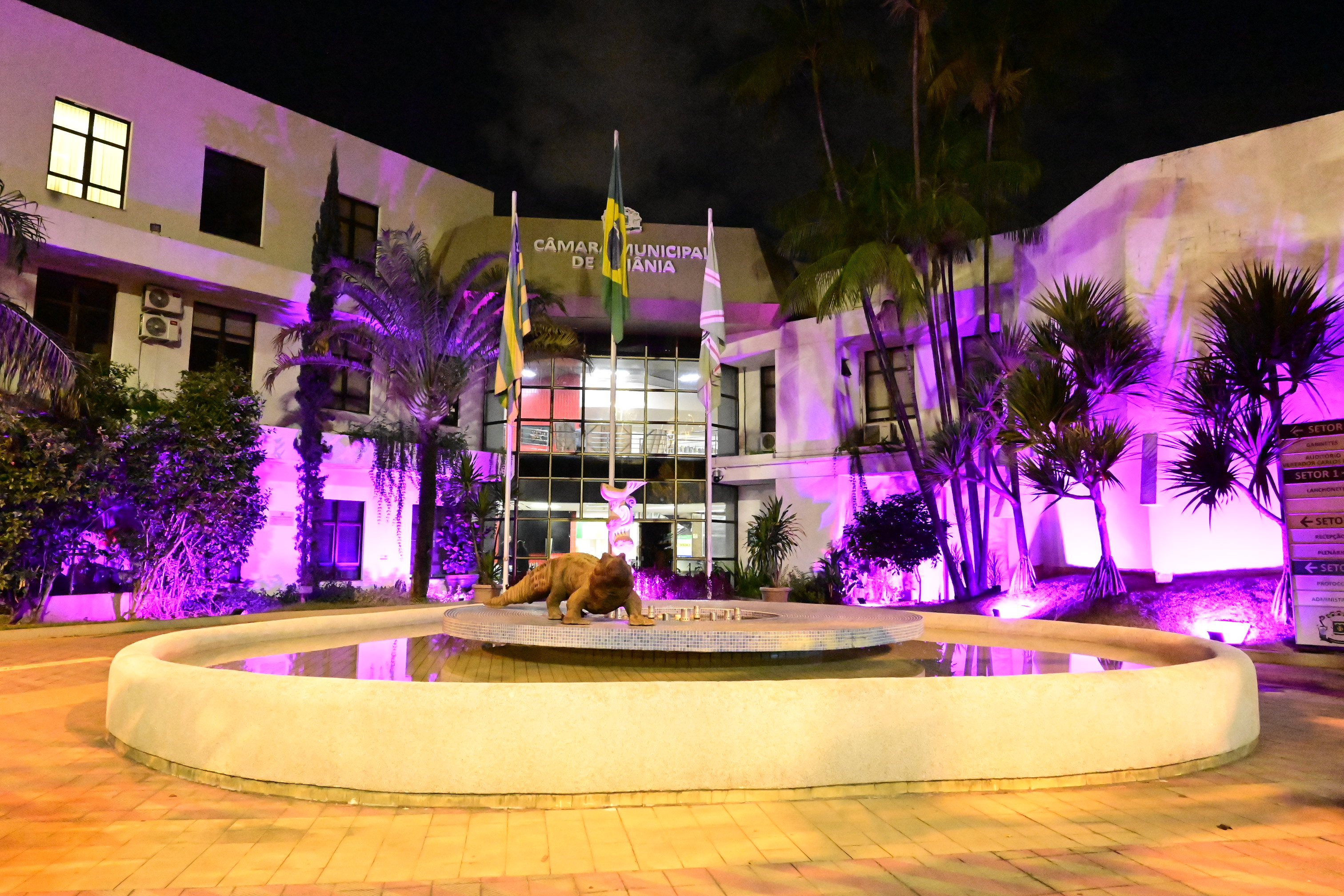 FOTO ANTONIO SILVA (77).JPG