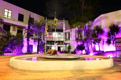 FOTO ANTONIO SILVA (77).JPG