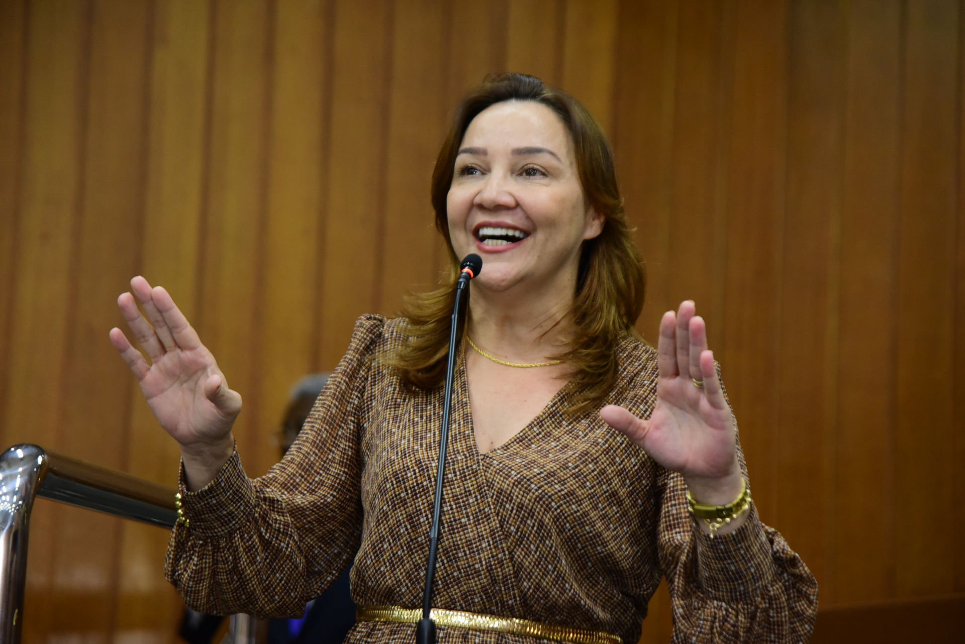 FOTO ANTONIO SILVA (68).JPG