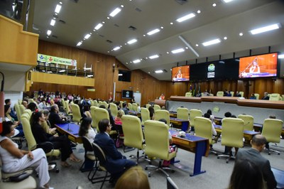 FOTO ANTONIO SILVA (79).JPG