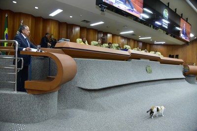 FOTO  ANTONIO SILVA (26).JPG