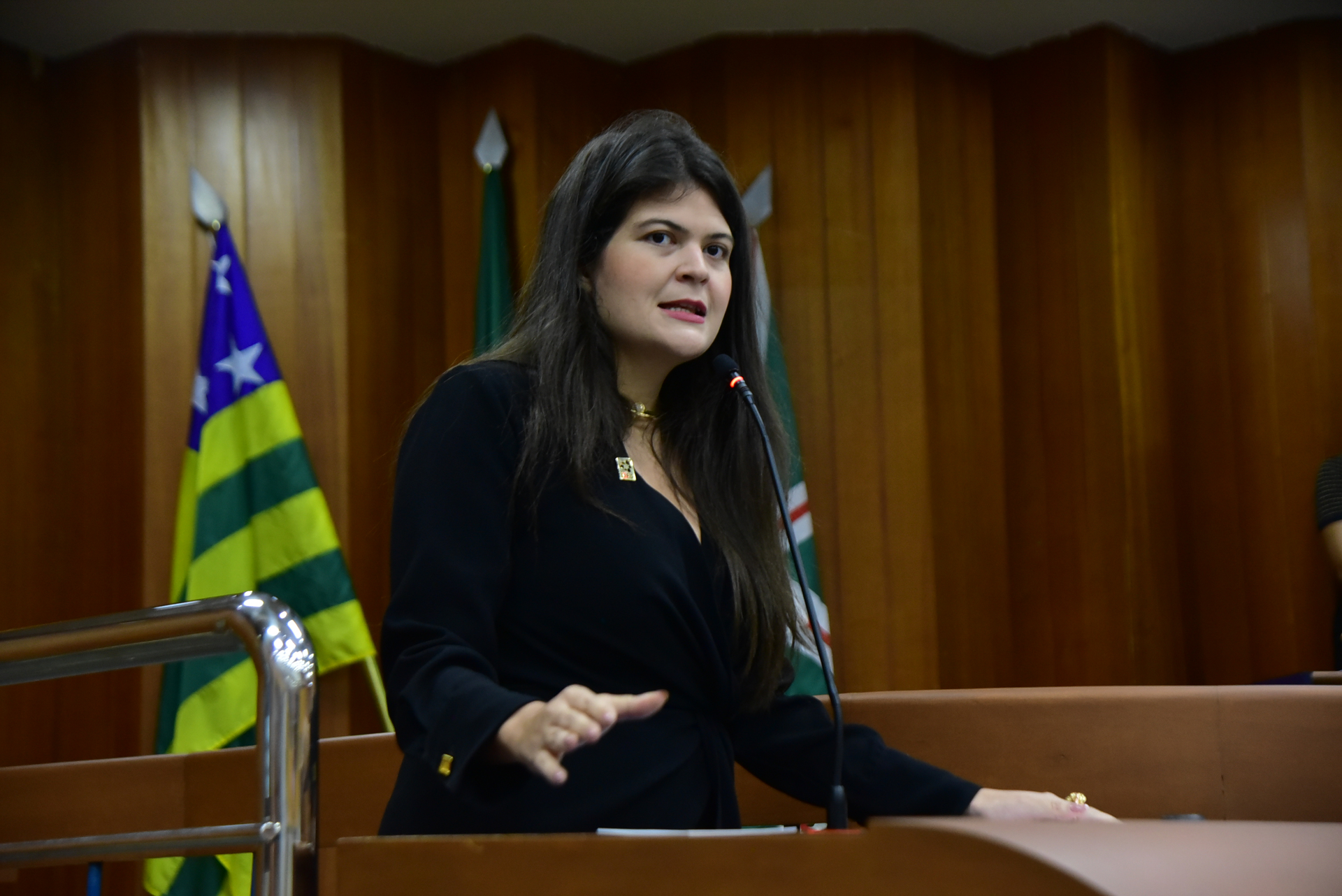 FOTO ANTONIO  SILVA (17).JPG